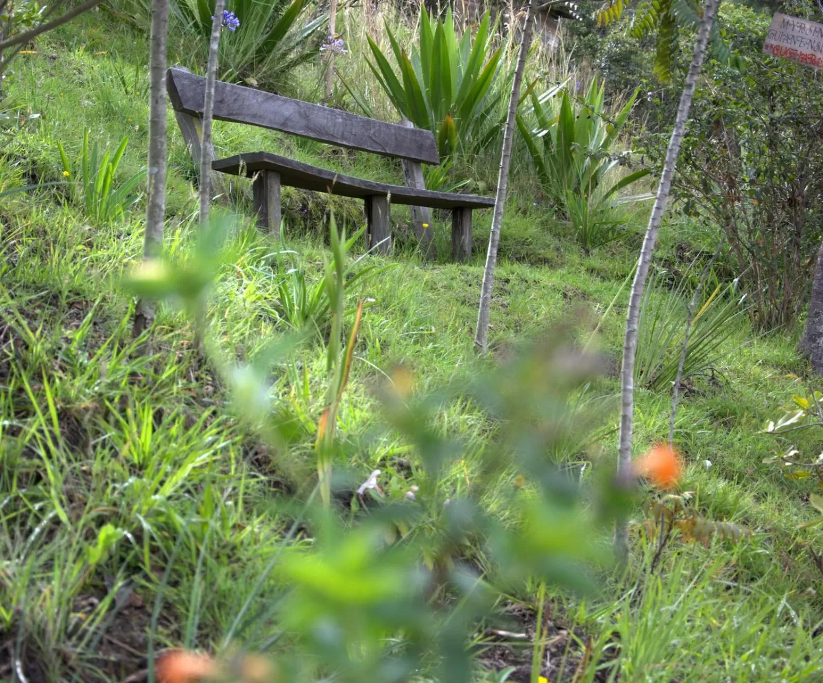 Mountain view in El Pedregal Sopó