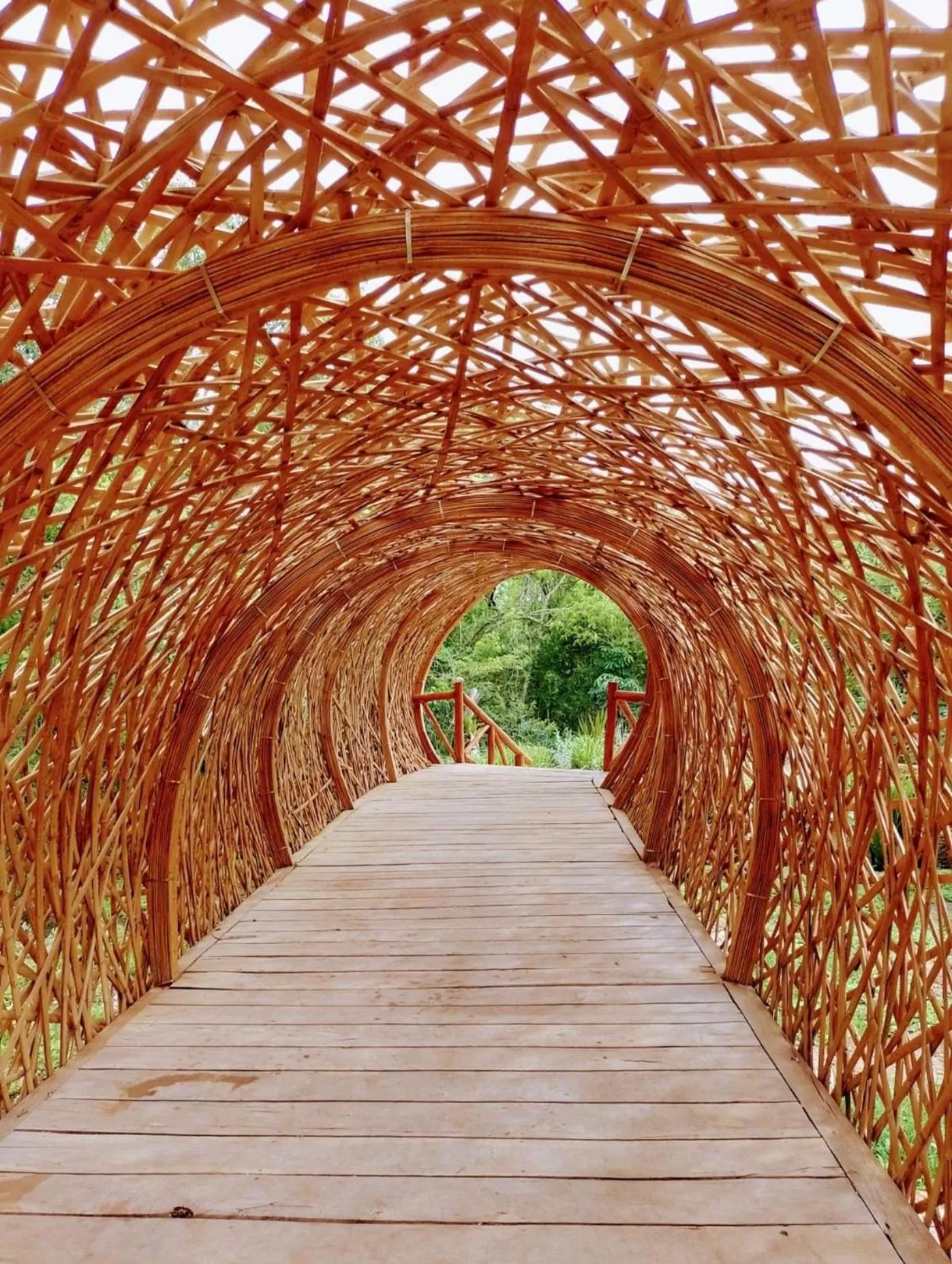 Day in Destino Mío Mayan Jungle Retreat