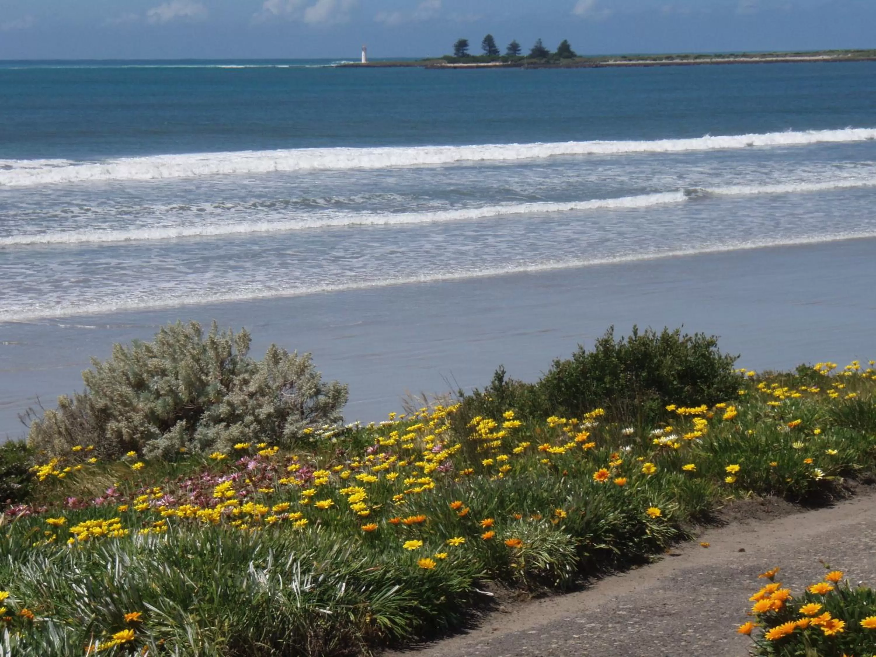 Area and facilities in Central Motel Port Fairy