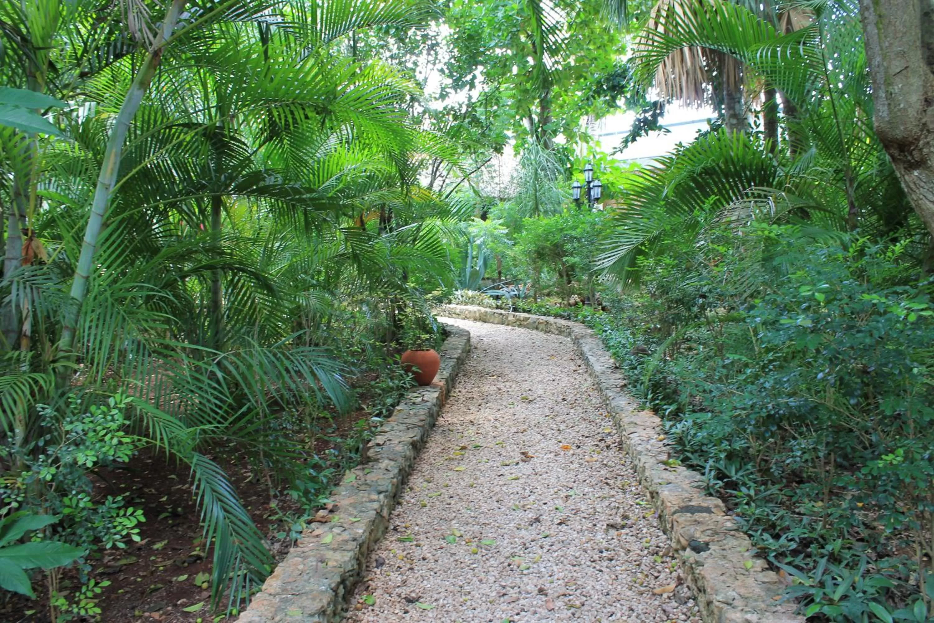 Garden in Casa Quetzal Hotel