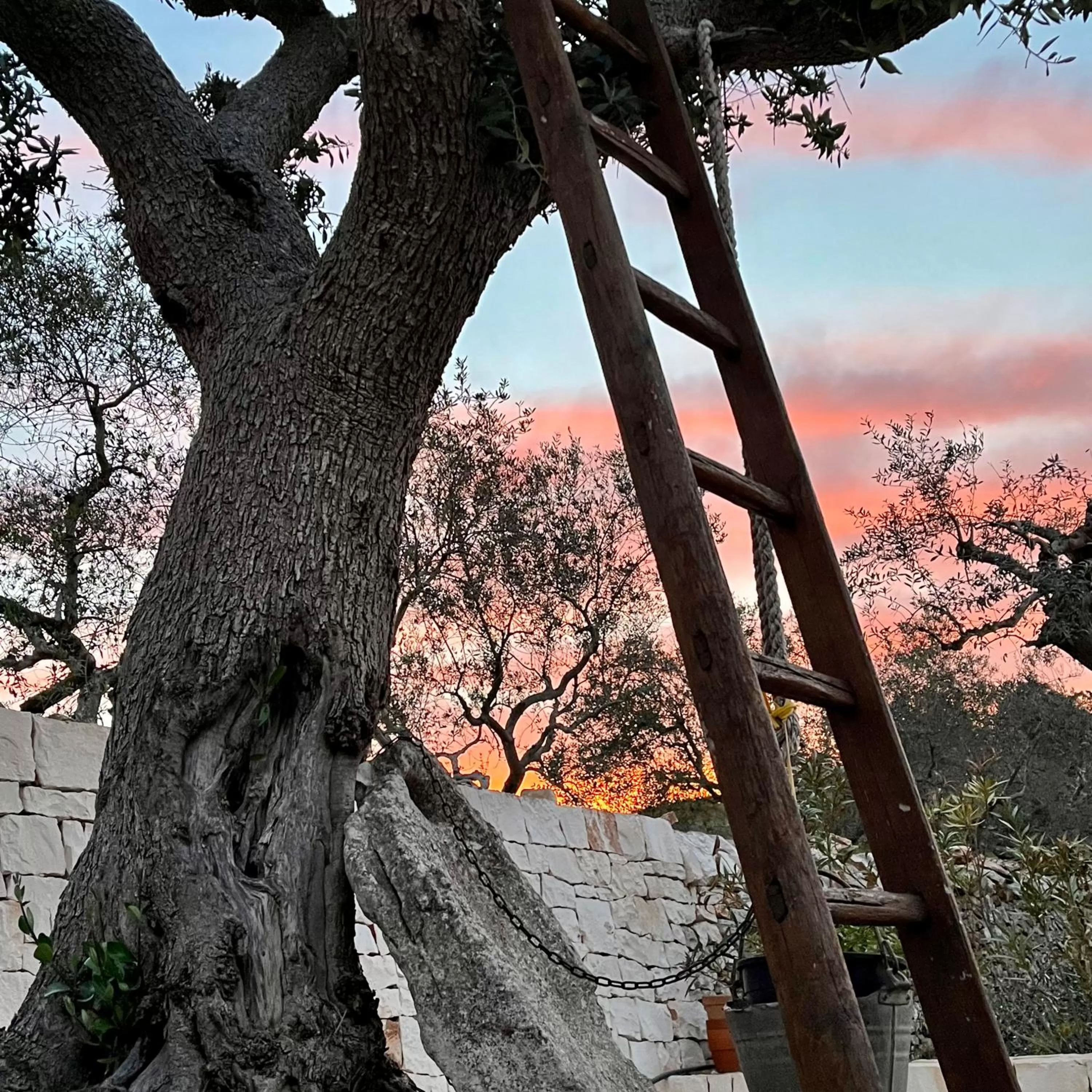 Other in Quei Trulli Divini