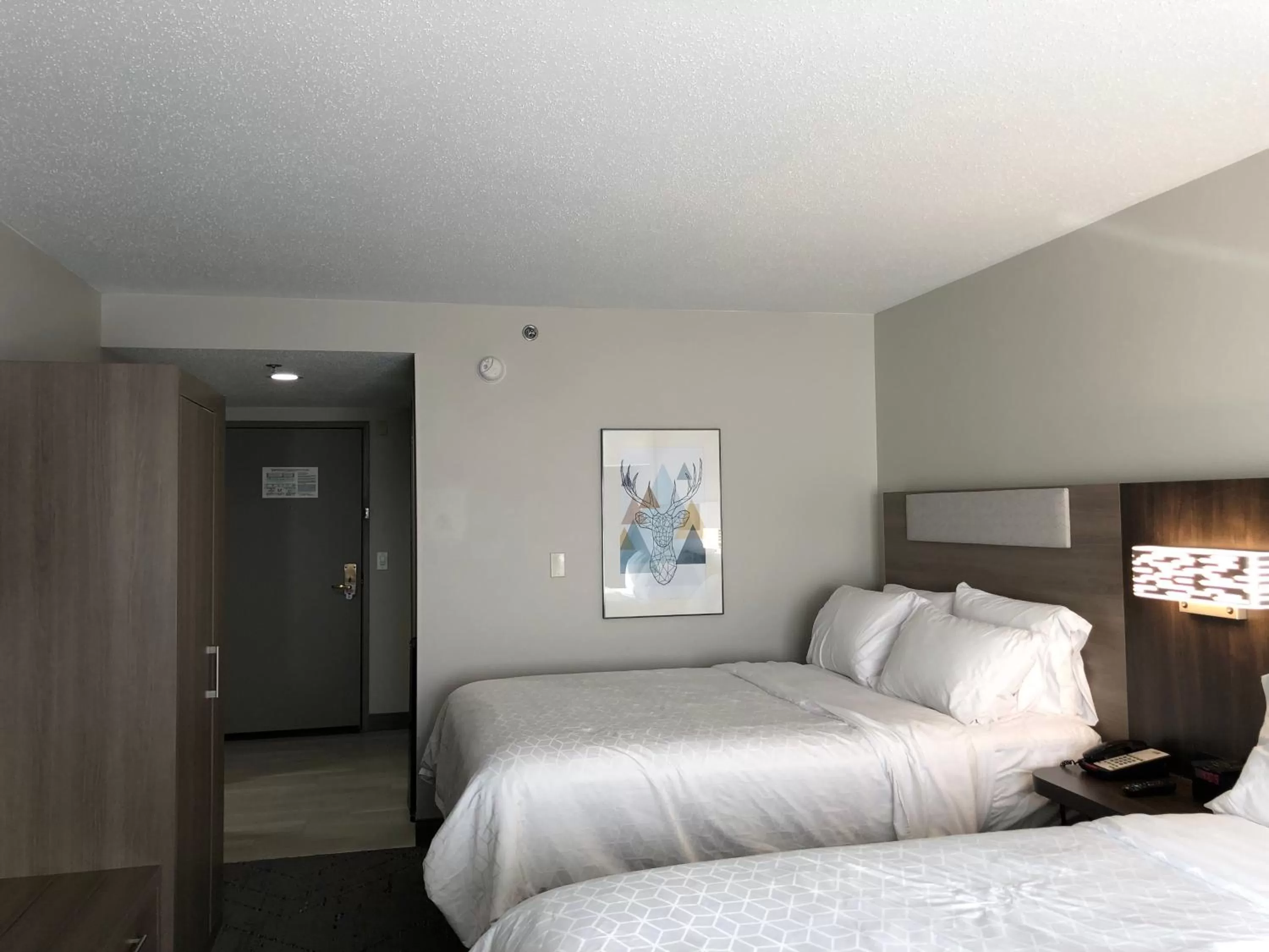 Photo of the whole room, Bed in Holiday Inn Express & Suites Donegal by IHG