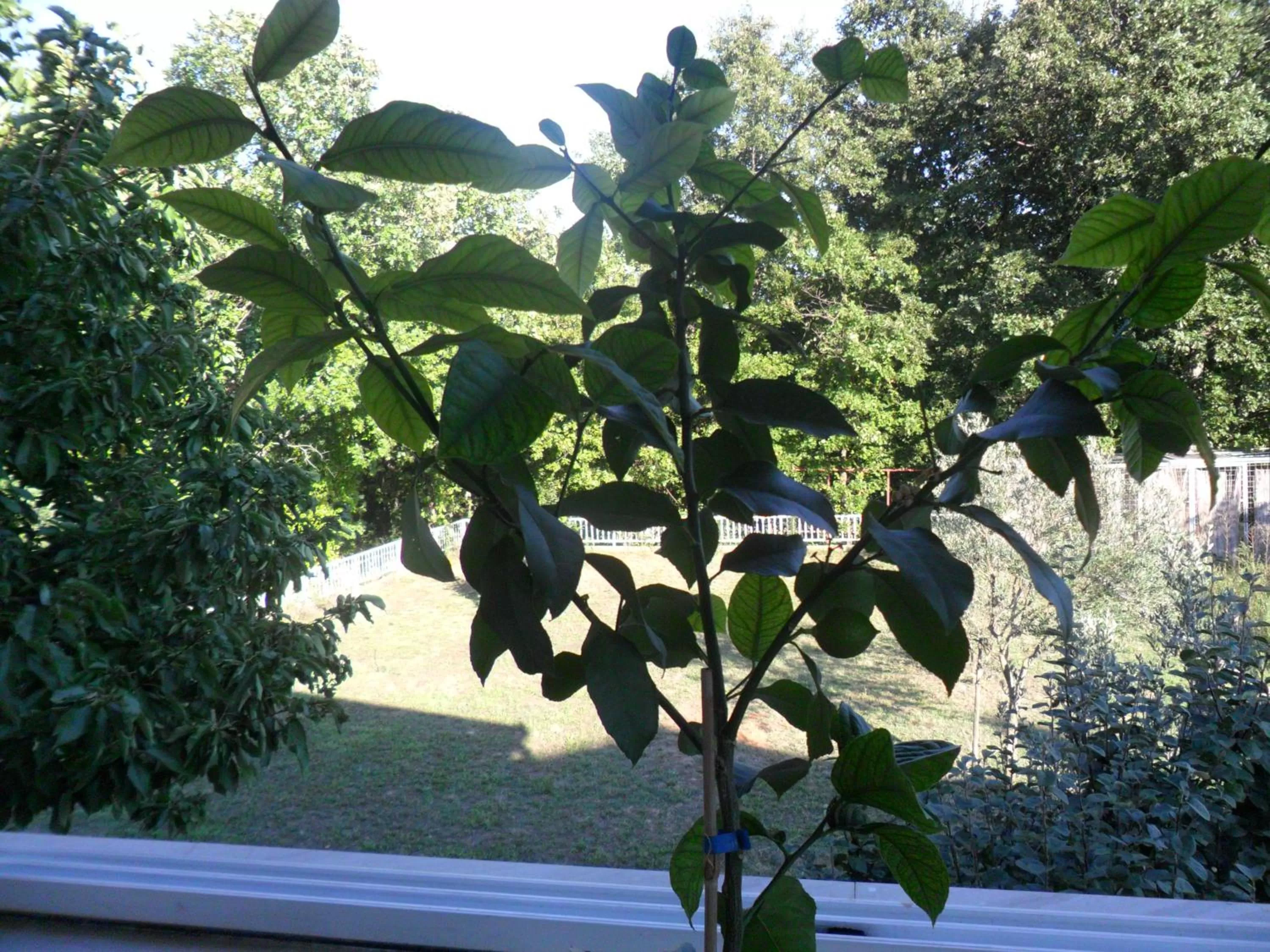 Sobe u kucanstvu MBM