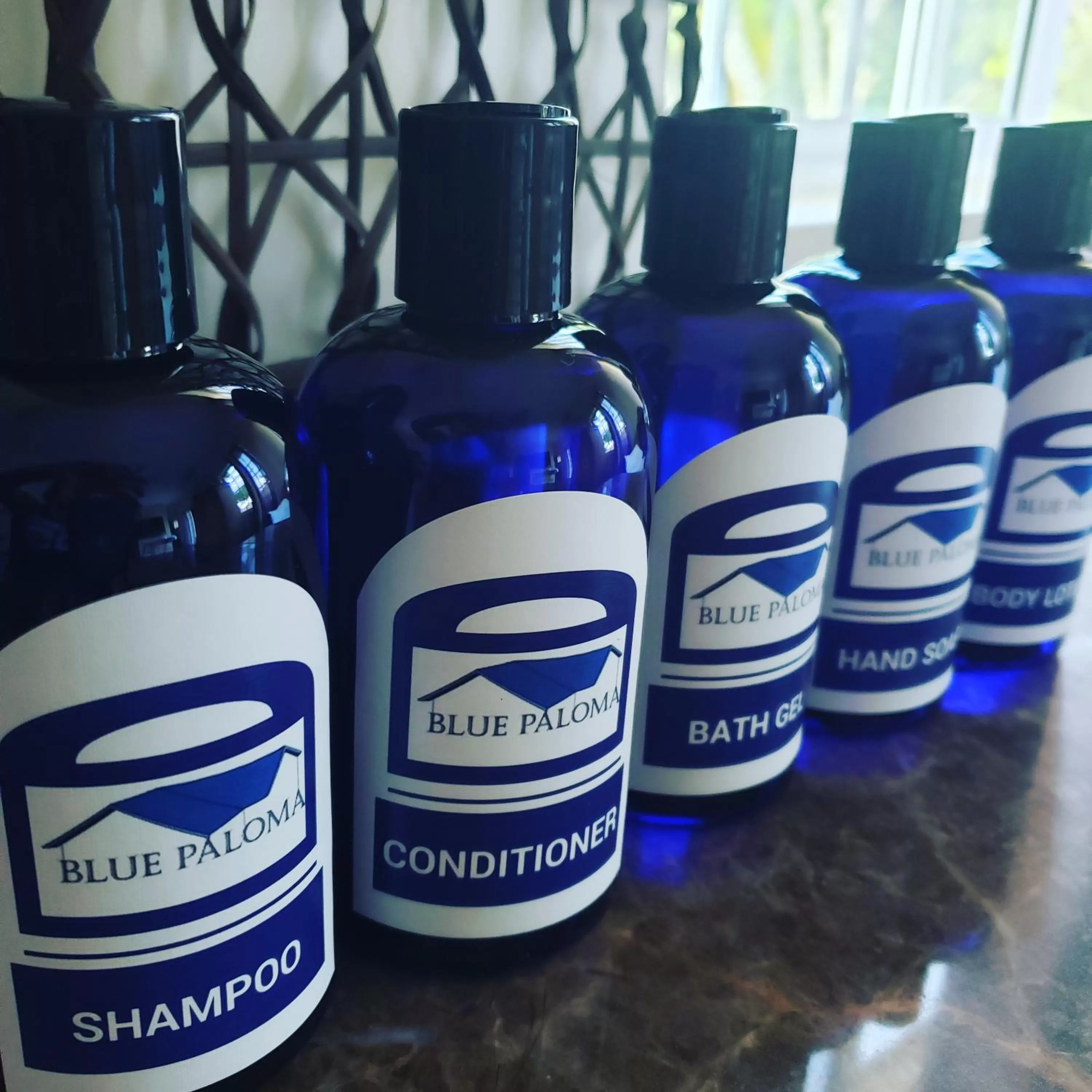 Shower in Blue Paloma Bed & Breakfast