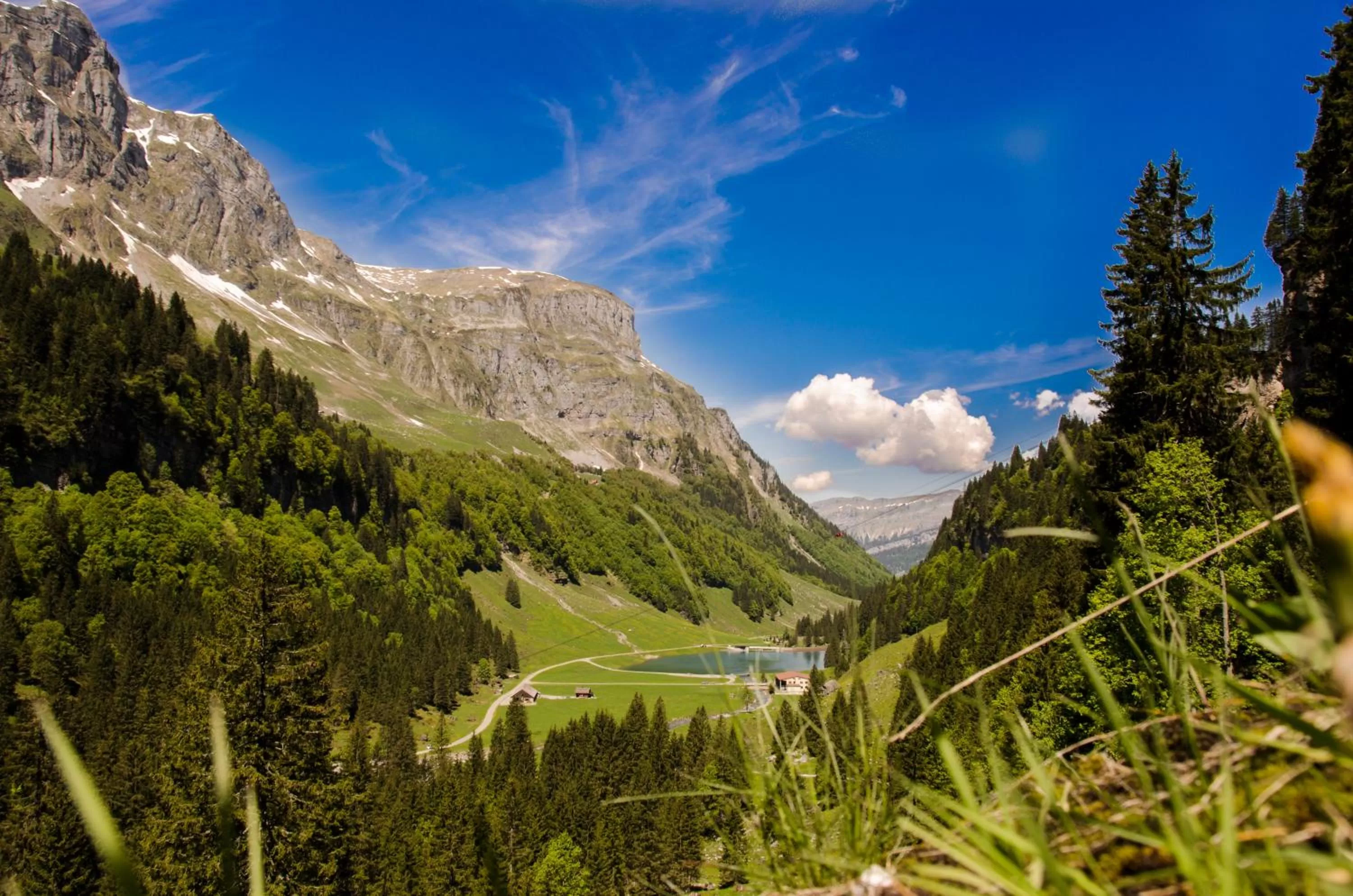 Nearby landmark, Natural Landscape in Bnbetschart