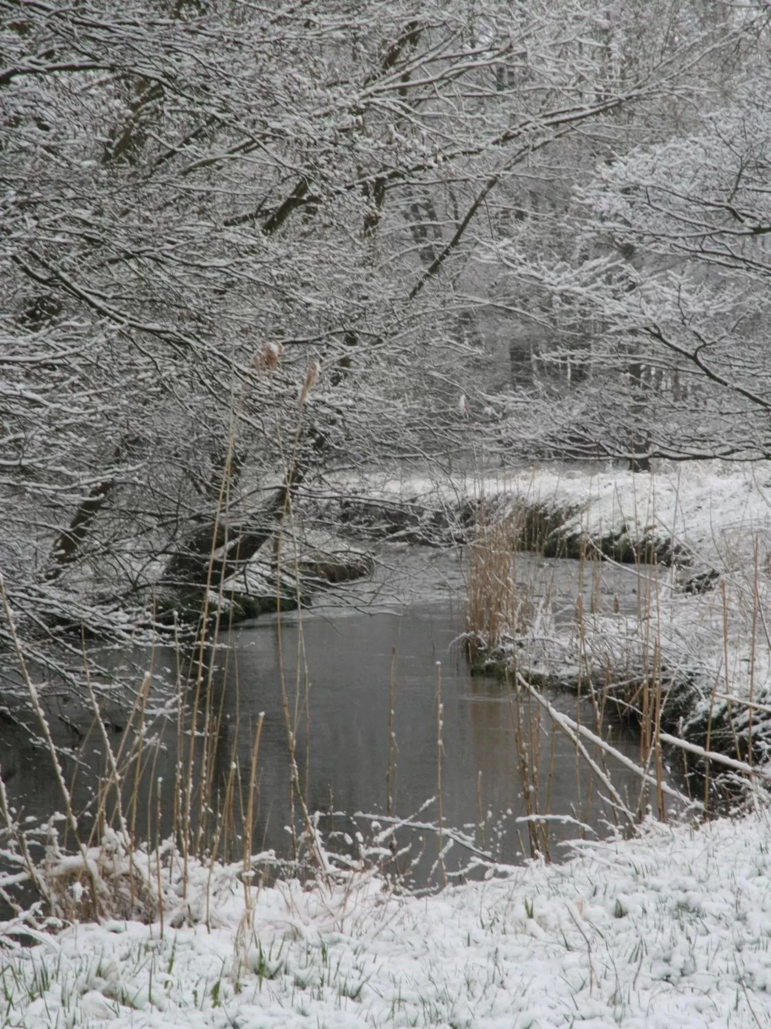 Other in Biohotel Schönhagener Mühle