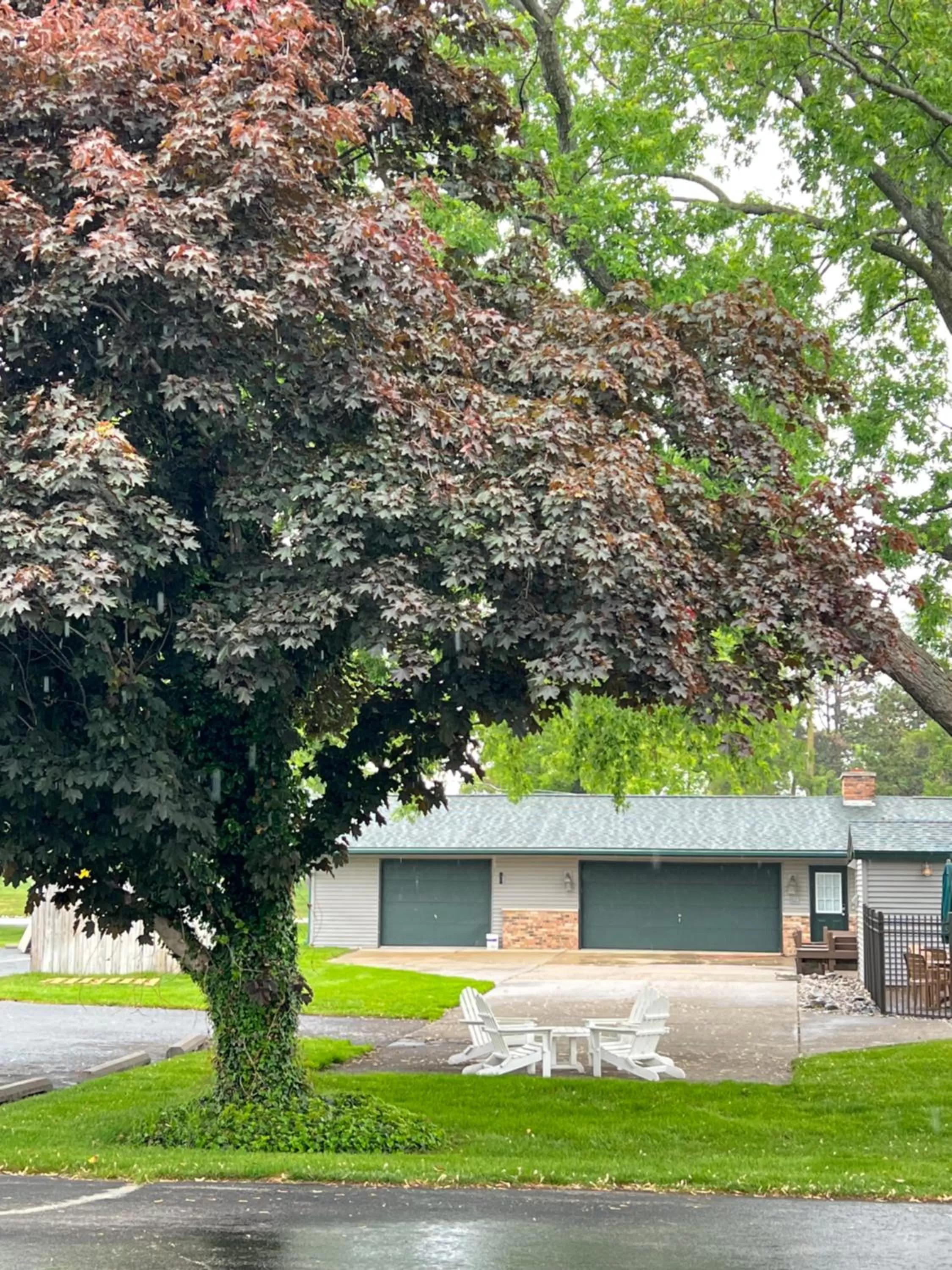 Viking Arms Inn - Ludington