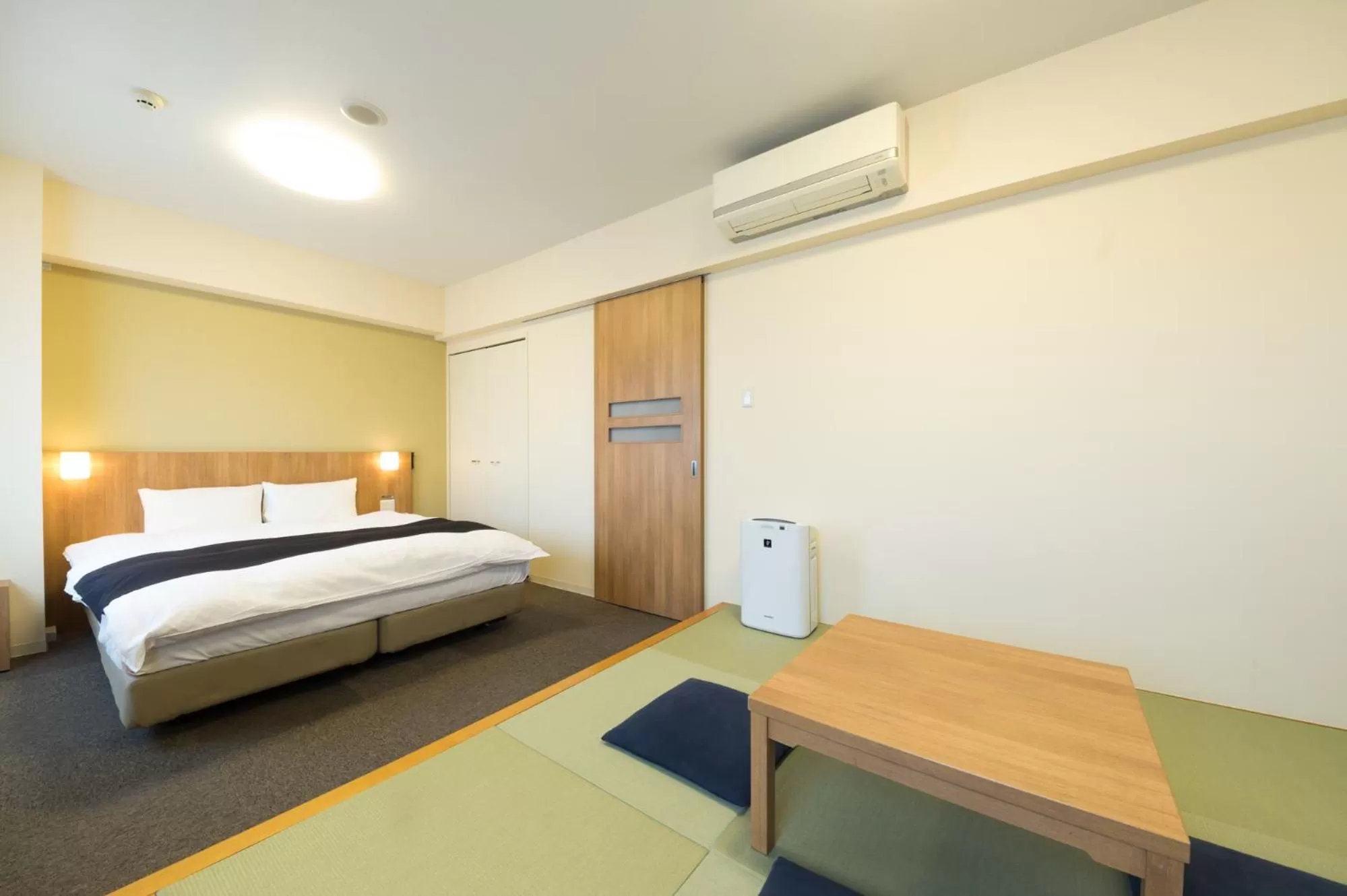 No-Cleaning-Service - Queen Room with Tatami Floor in Dormy Inn Express Mikawaanjo