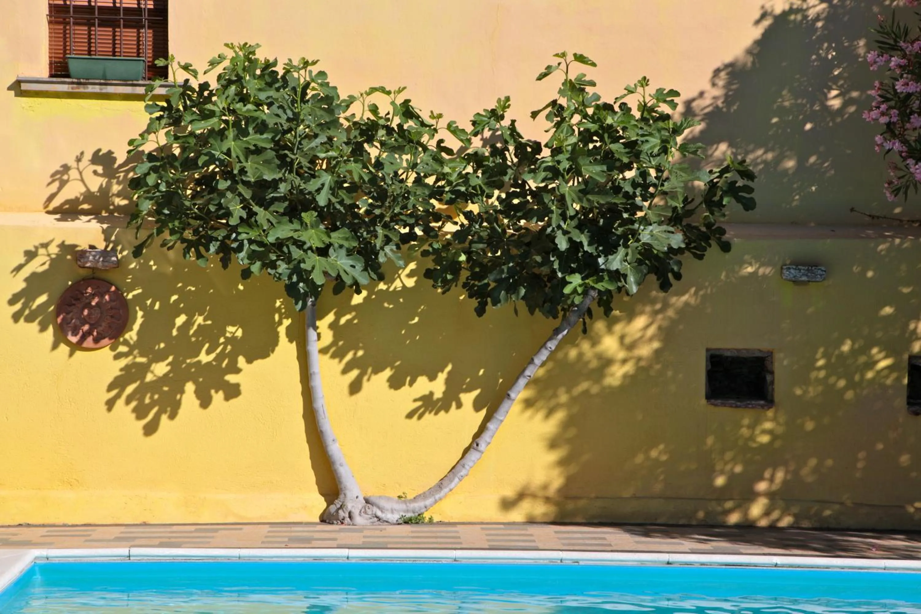 Garden in Hotel San Filis