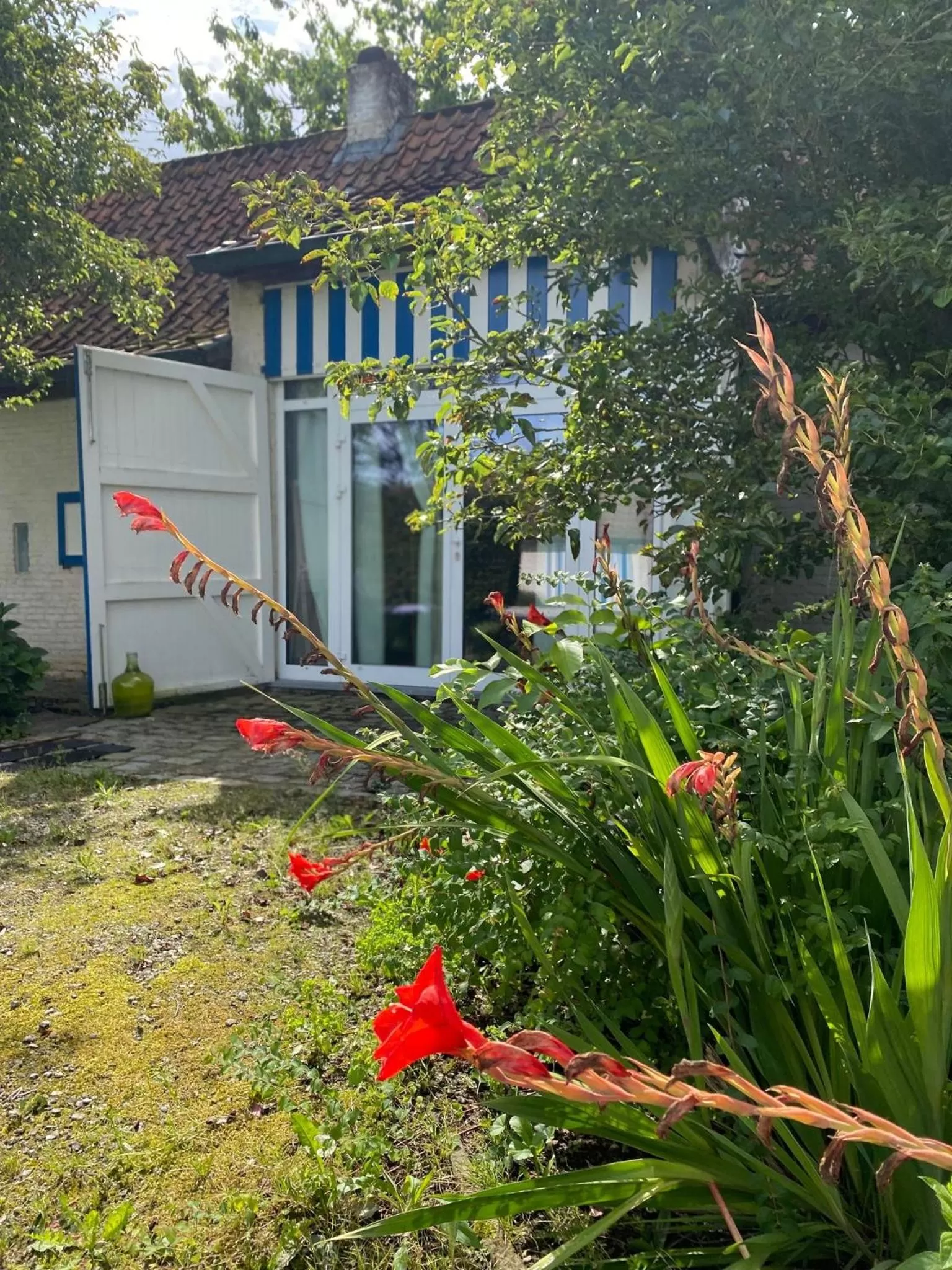 Property Building in Hamiora wellness B&B