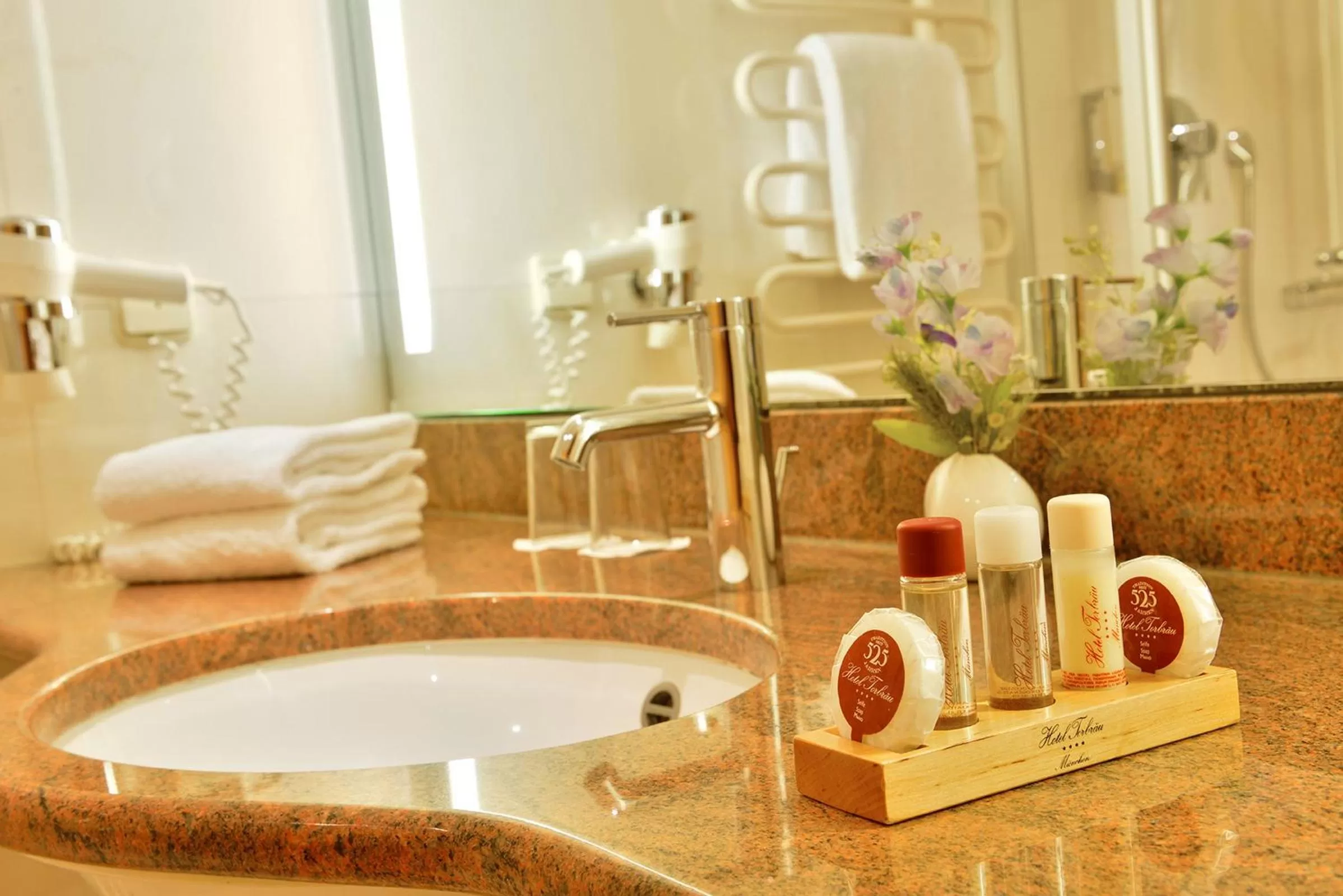 Bathroom in Hotel Torbräu