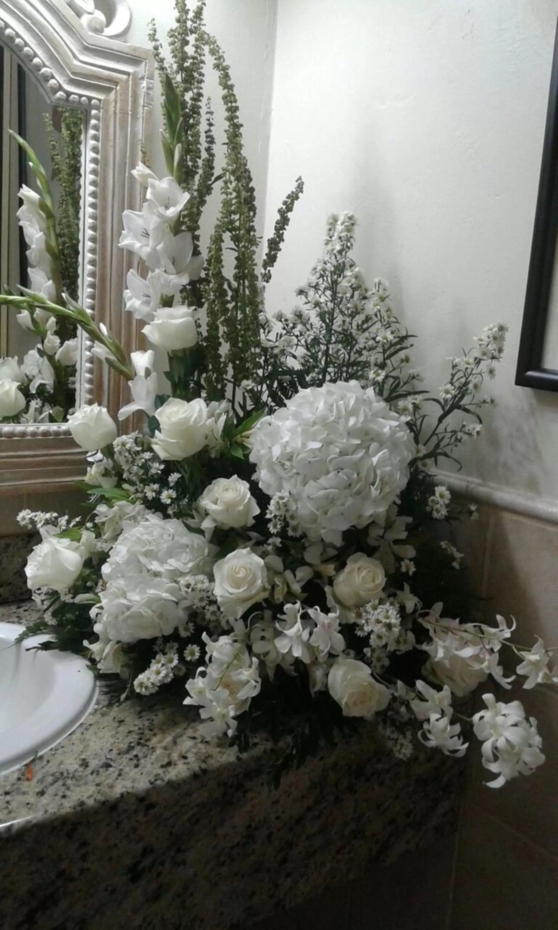 Other in Hotel Panamonte