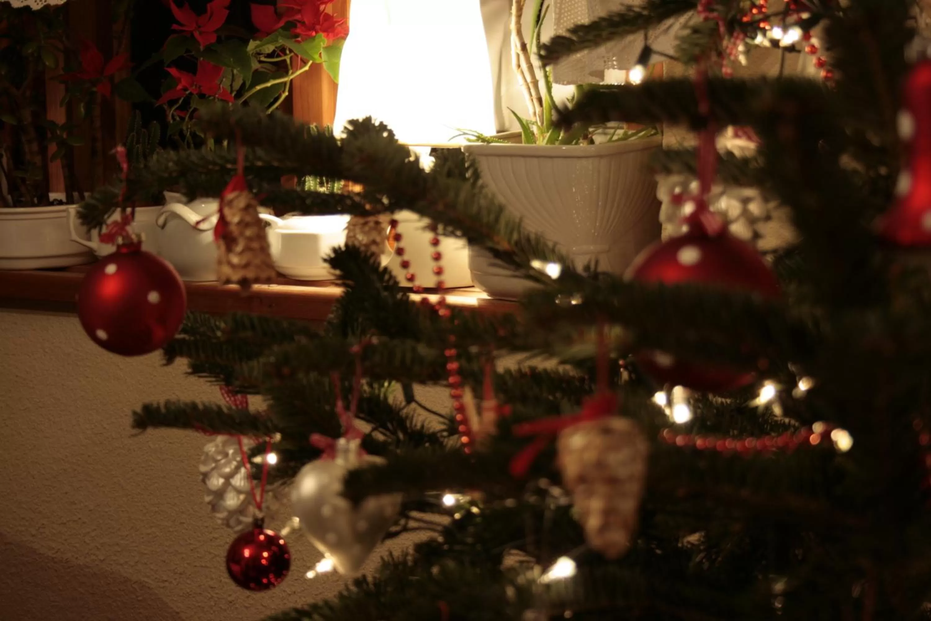 Other in Gościniec i Herbaciarnia Pod Złotą Łyżwą