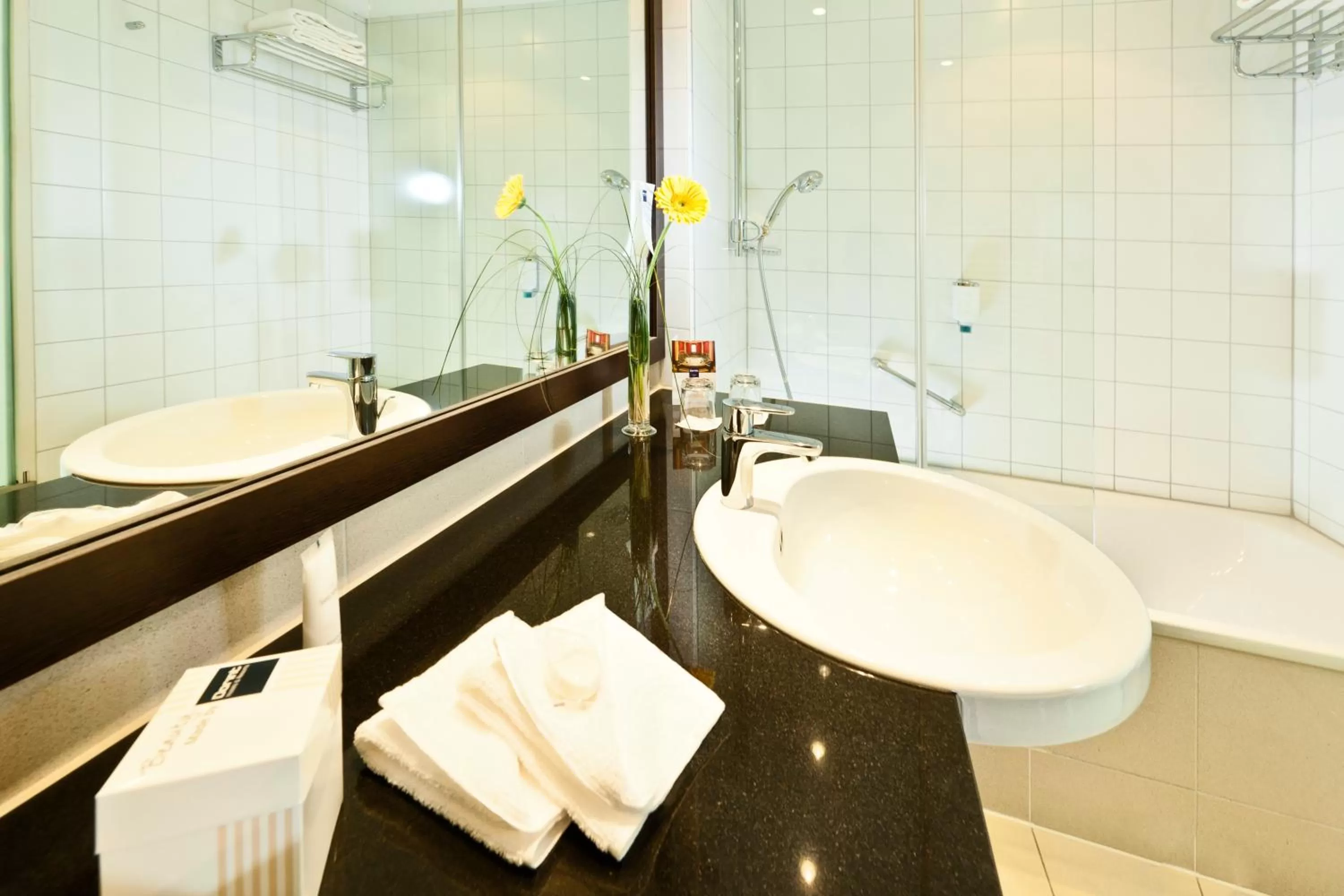 Shower in Dorint An der Messe Köln