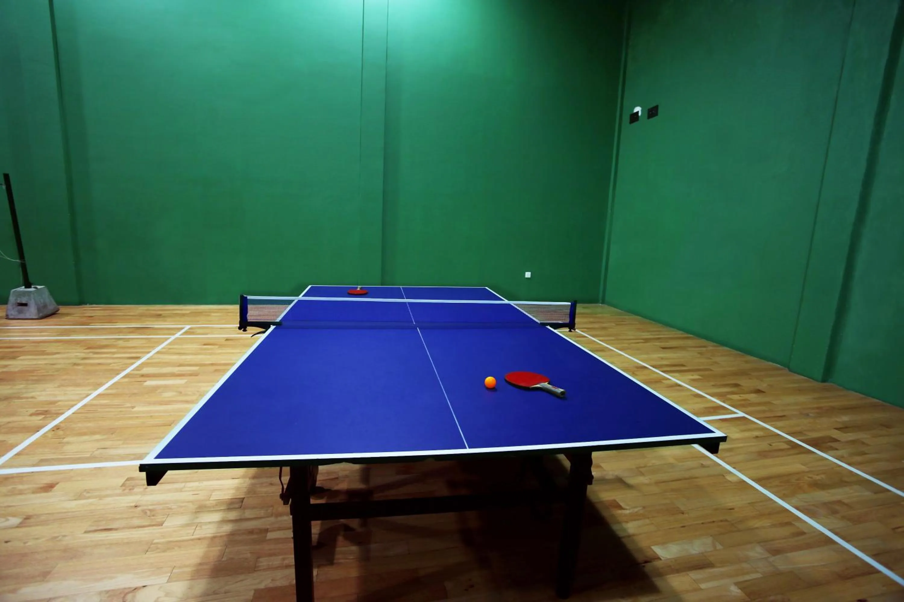 Table tennis in Randholee Resort & Spa