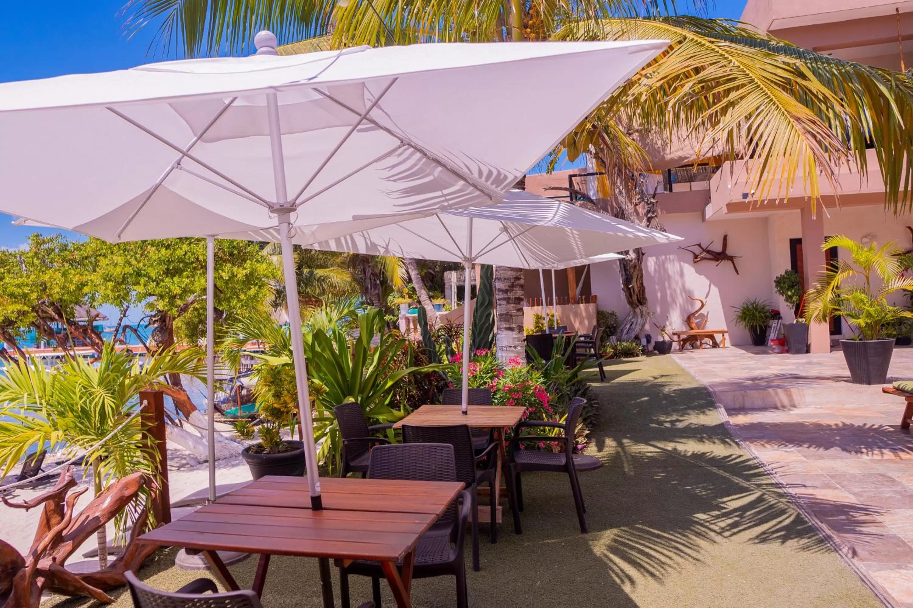 Patio in Bahia Tolok