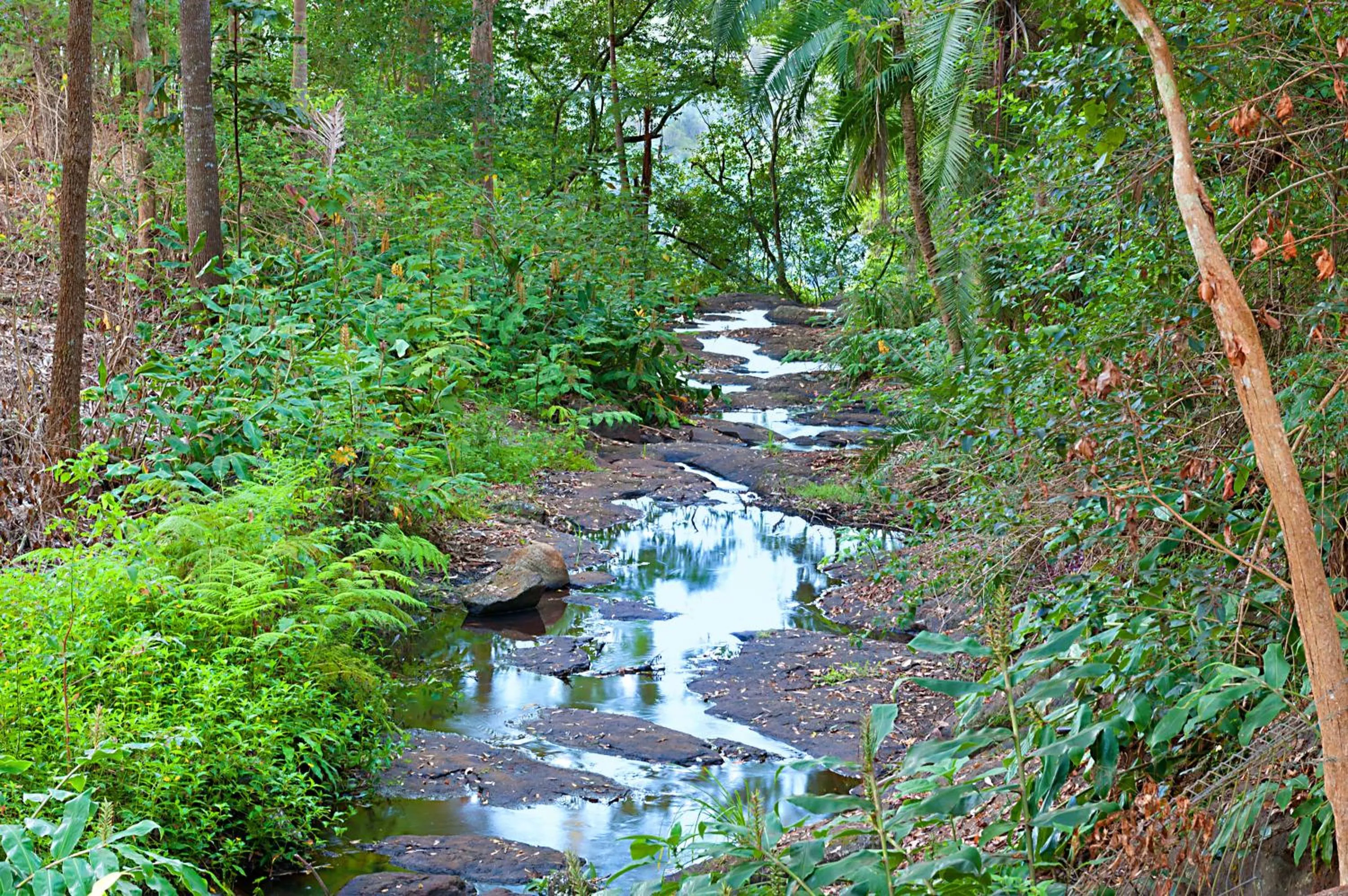 Garden in Escarpment Retreat & Day Spa for Couples