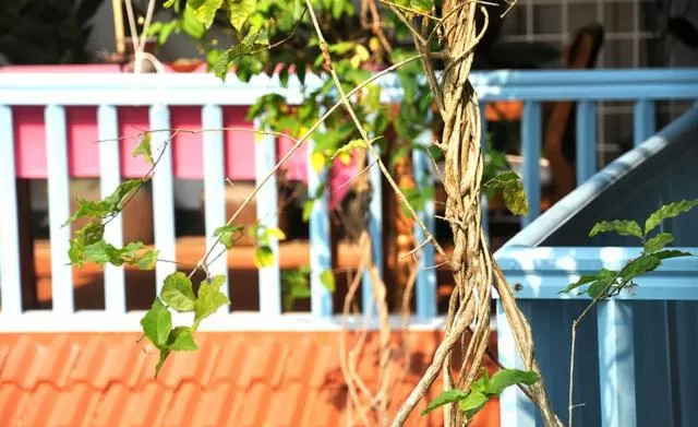 Other in Villa Jacaranda