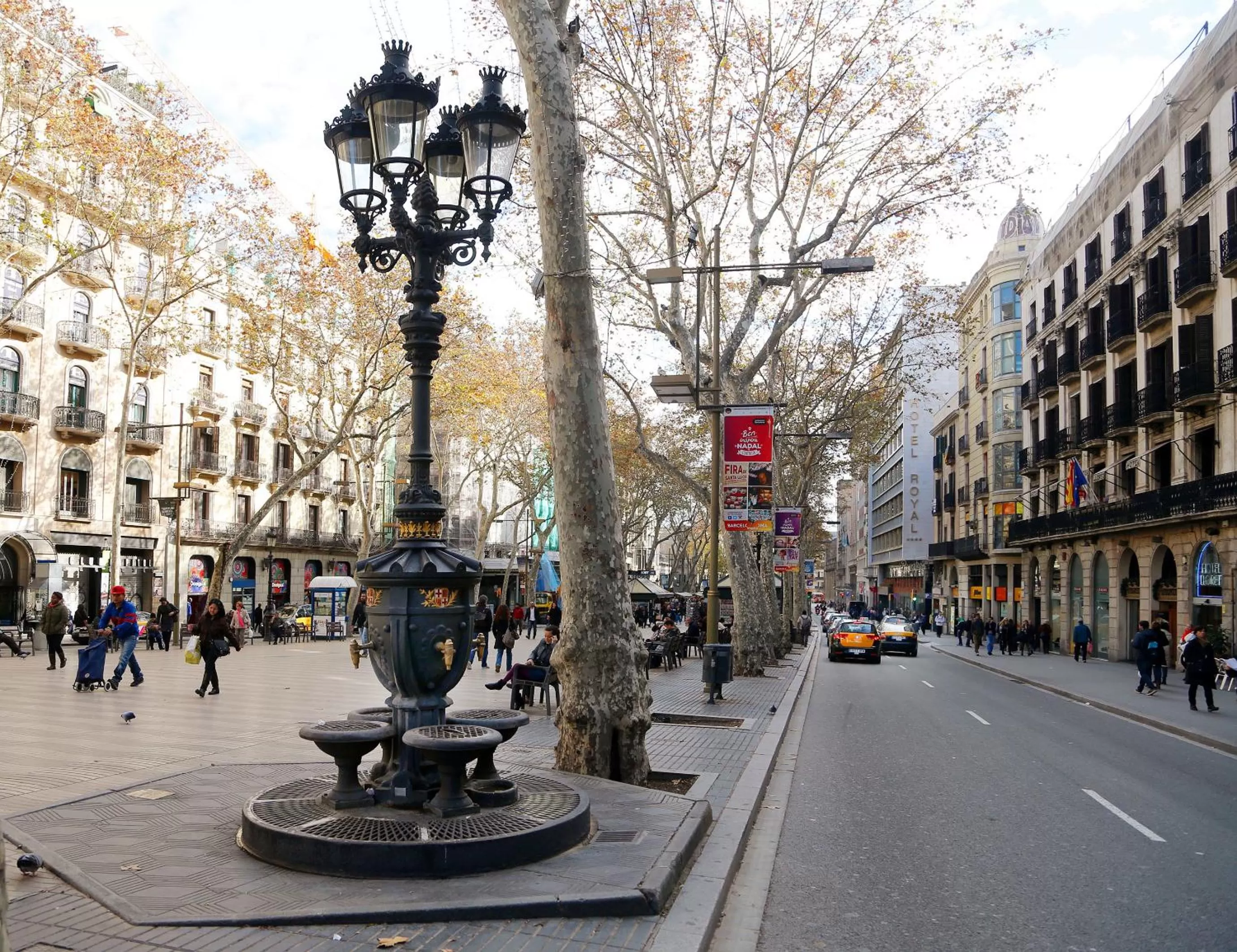 Area and facilities in Royal Ramblas