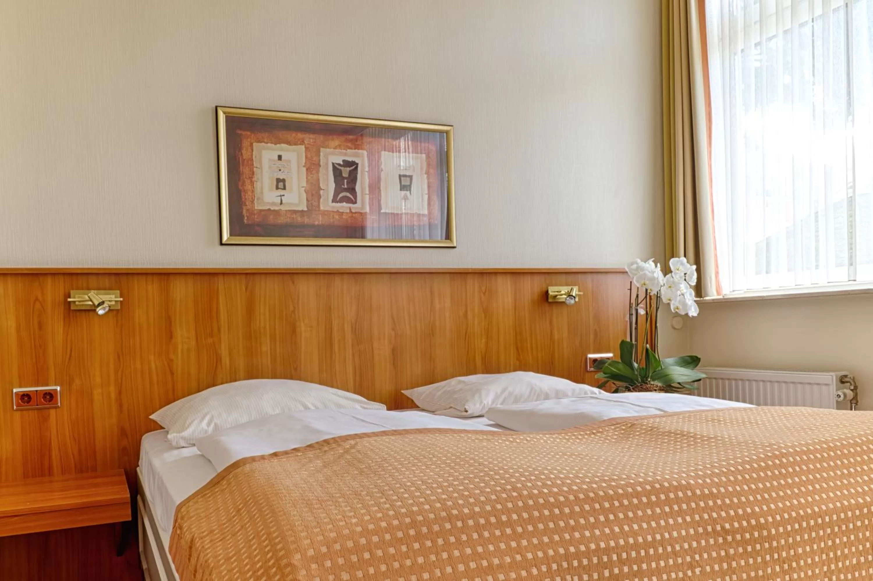 Bed in Traveller Hotel