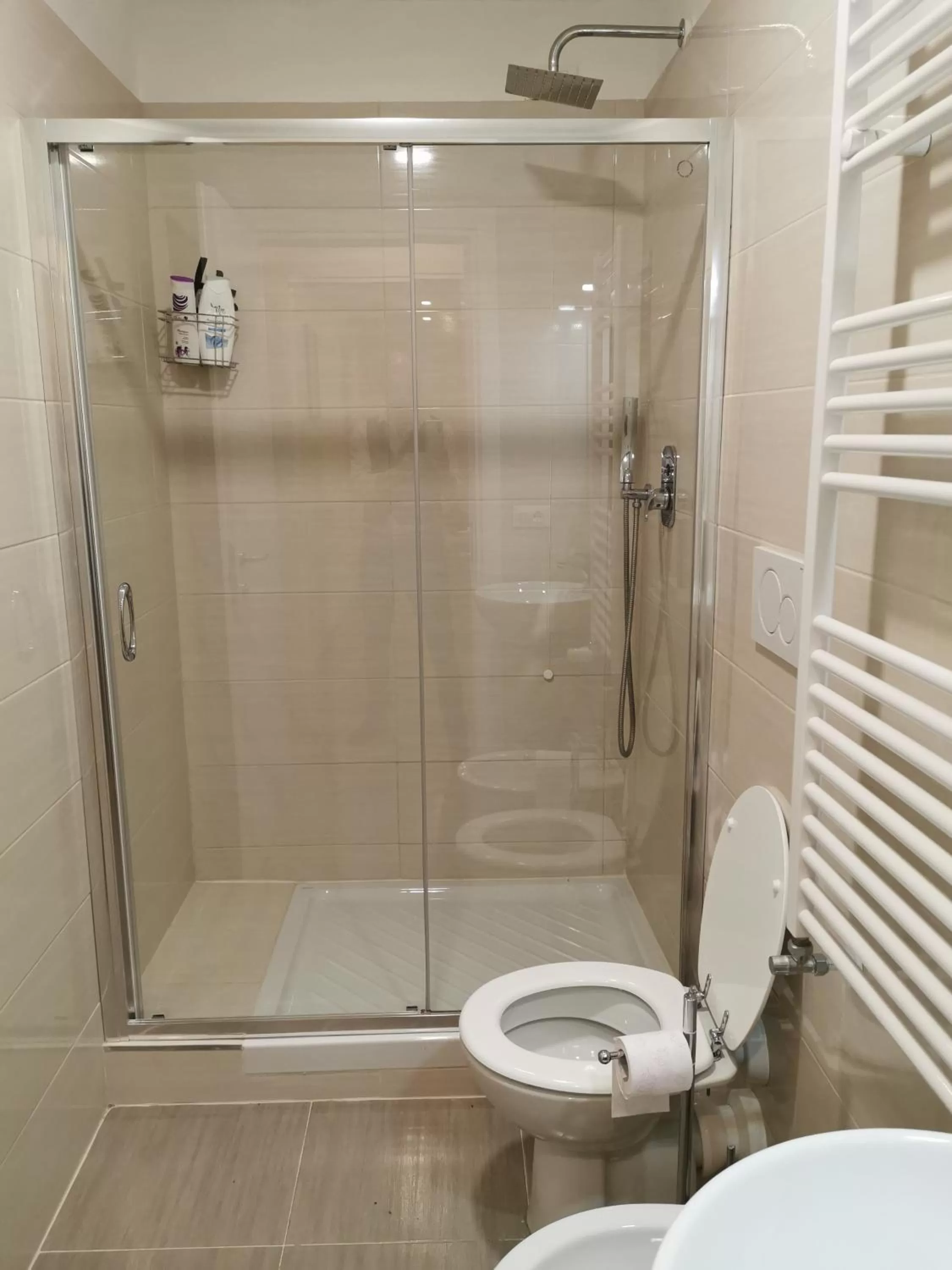 Bathroom in Casa Venier