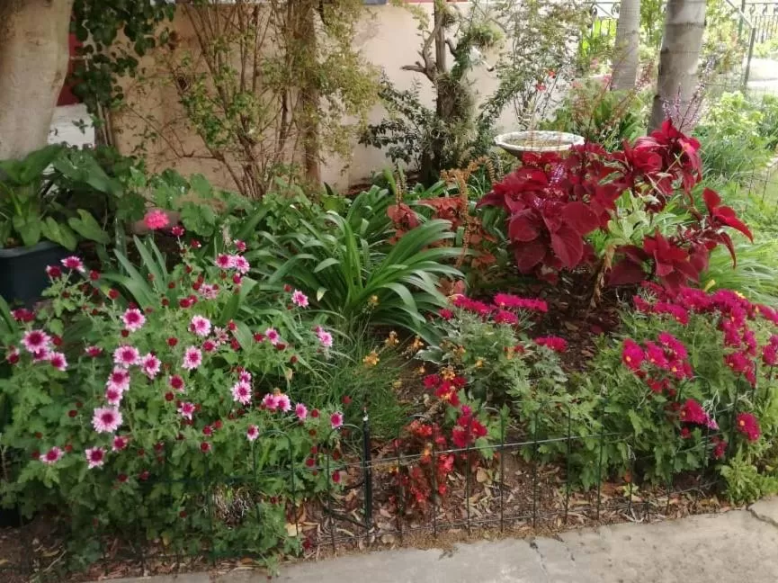 Garden in Squirrels Corner