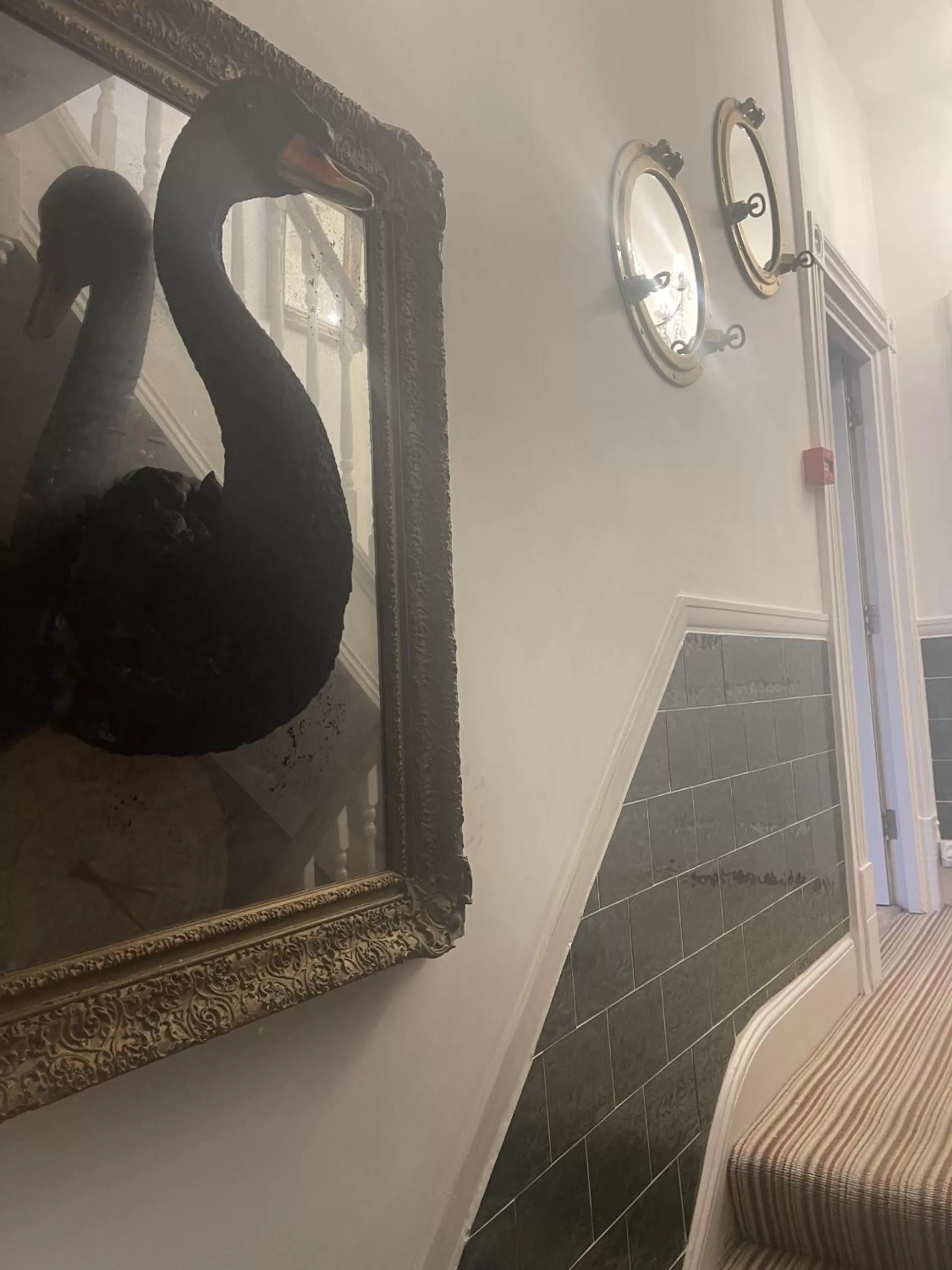 Other in The Twenty One