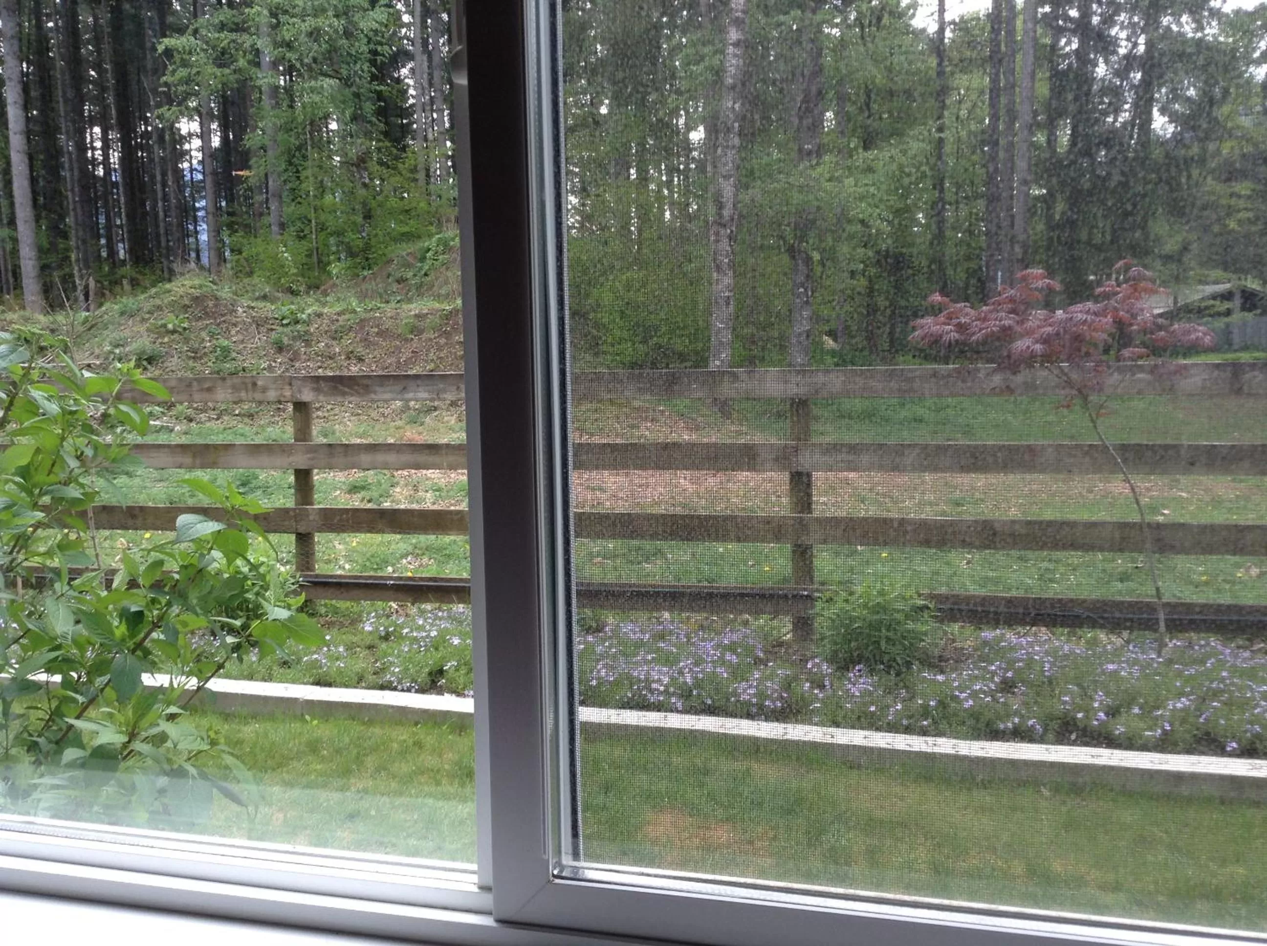 Garden view in Hope Springs Eternal Bed and Breakfast