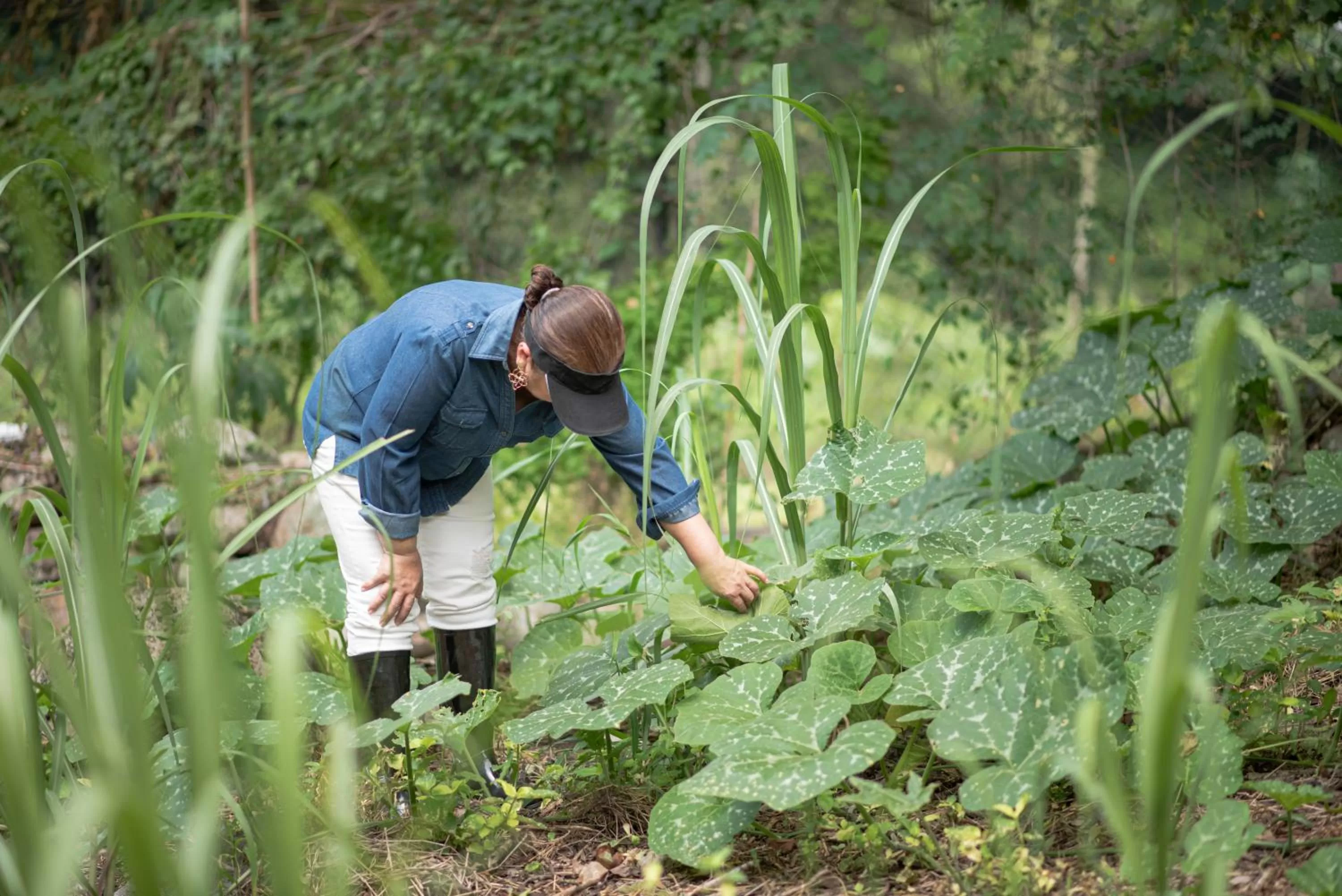 Area and facilities in Hotel de Campo Villa de Ada