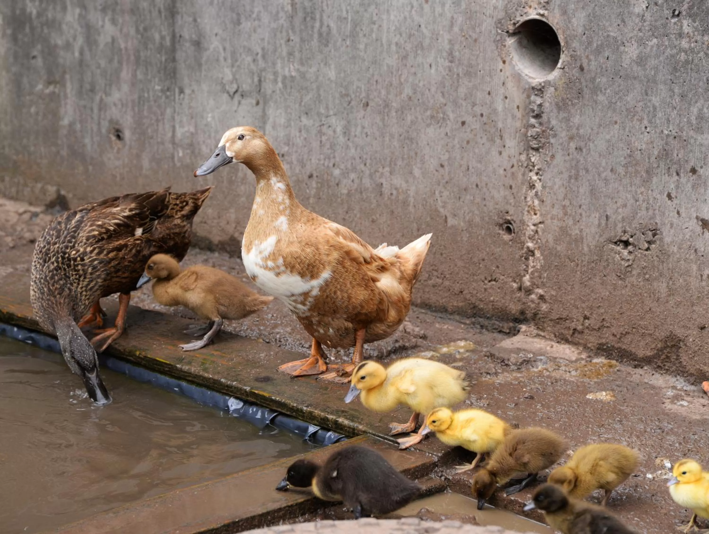 On site in Gabriel House Guesthouse