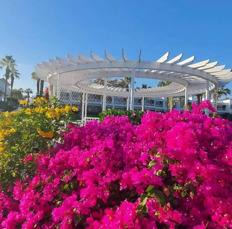 Spring in Monte Carlo Sharm Resort & Spa