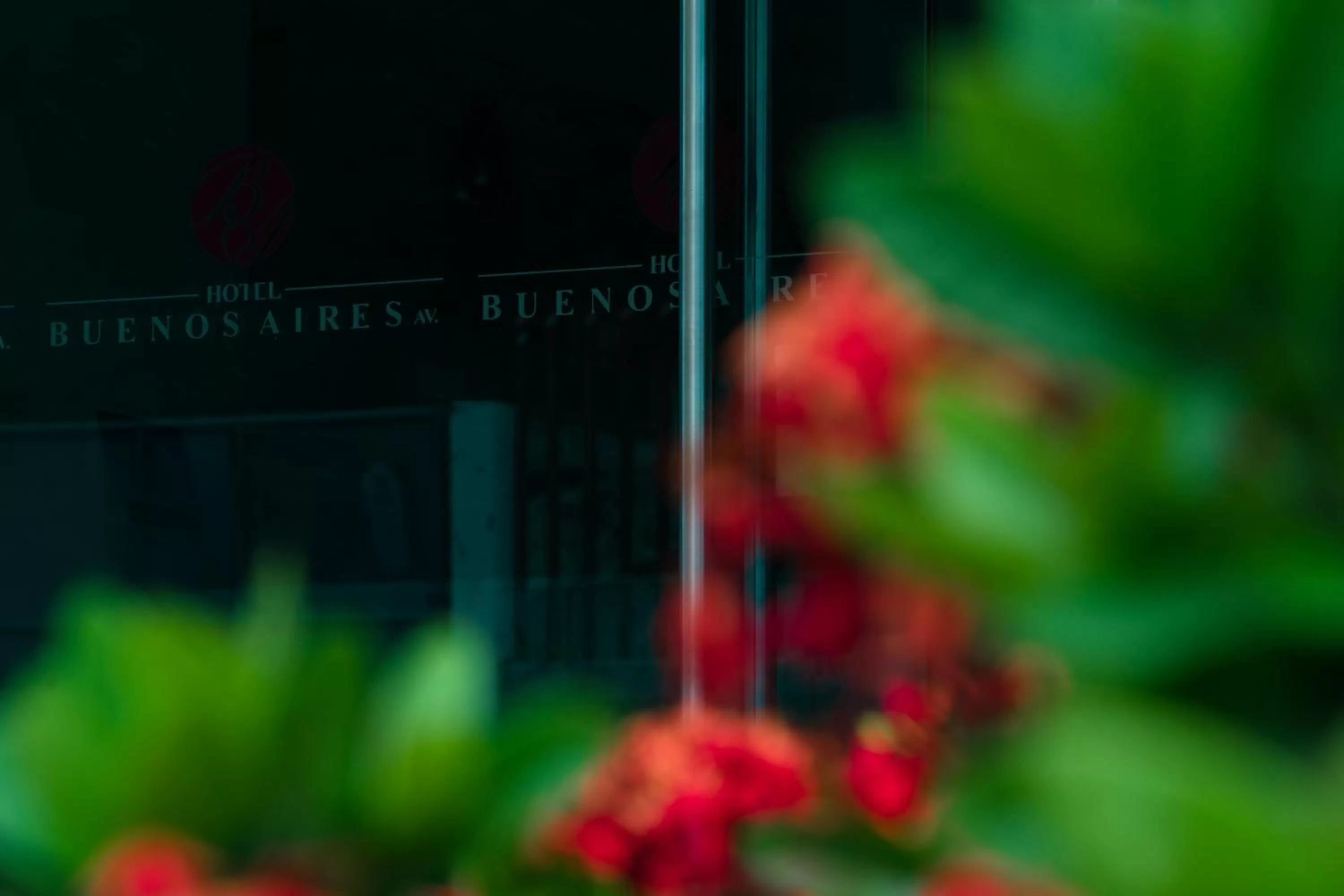 Garden in Hotel Buenos Aires