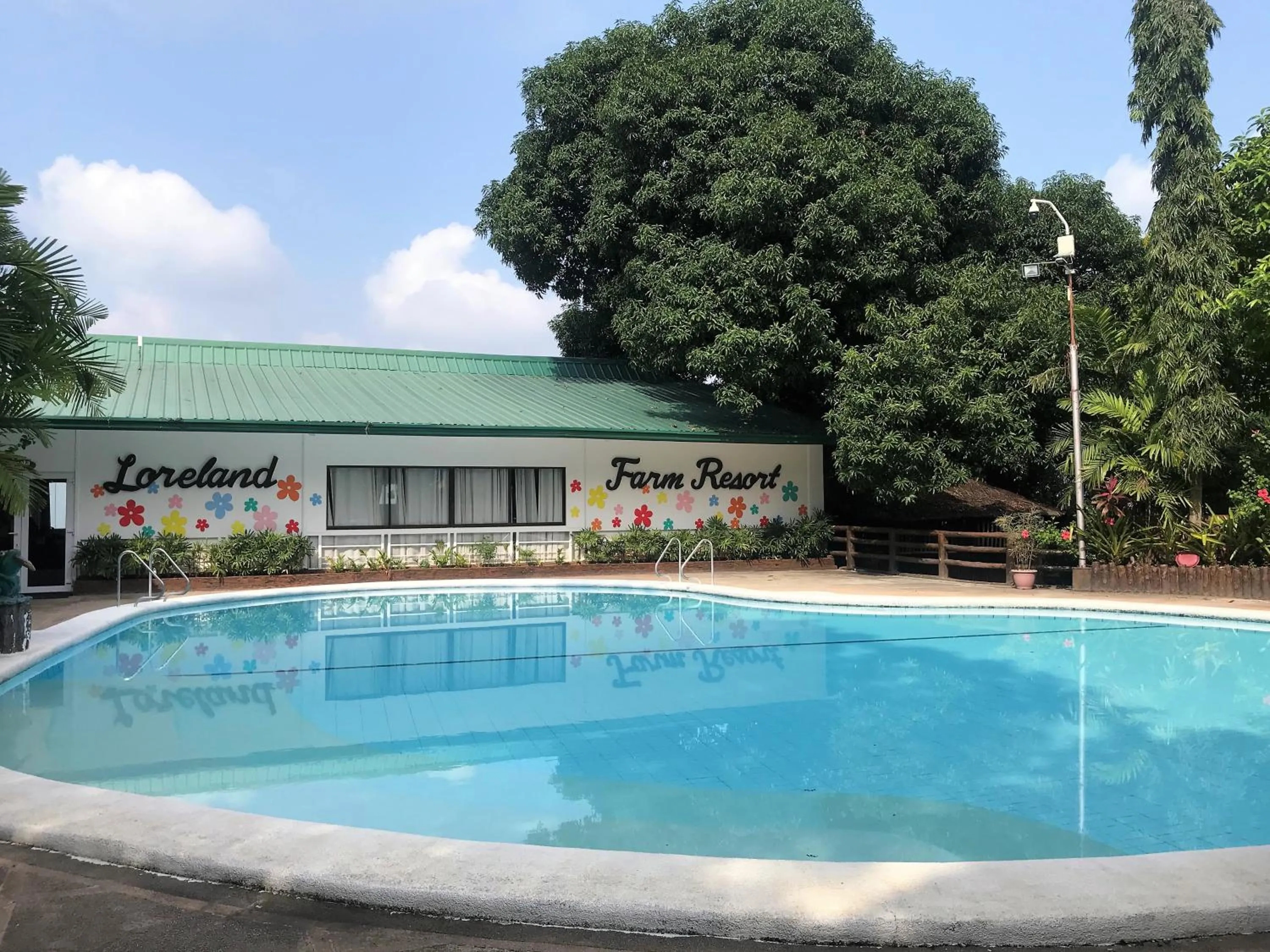 Swimming pool in Loreland Farm Resort