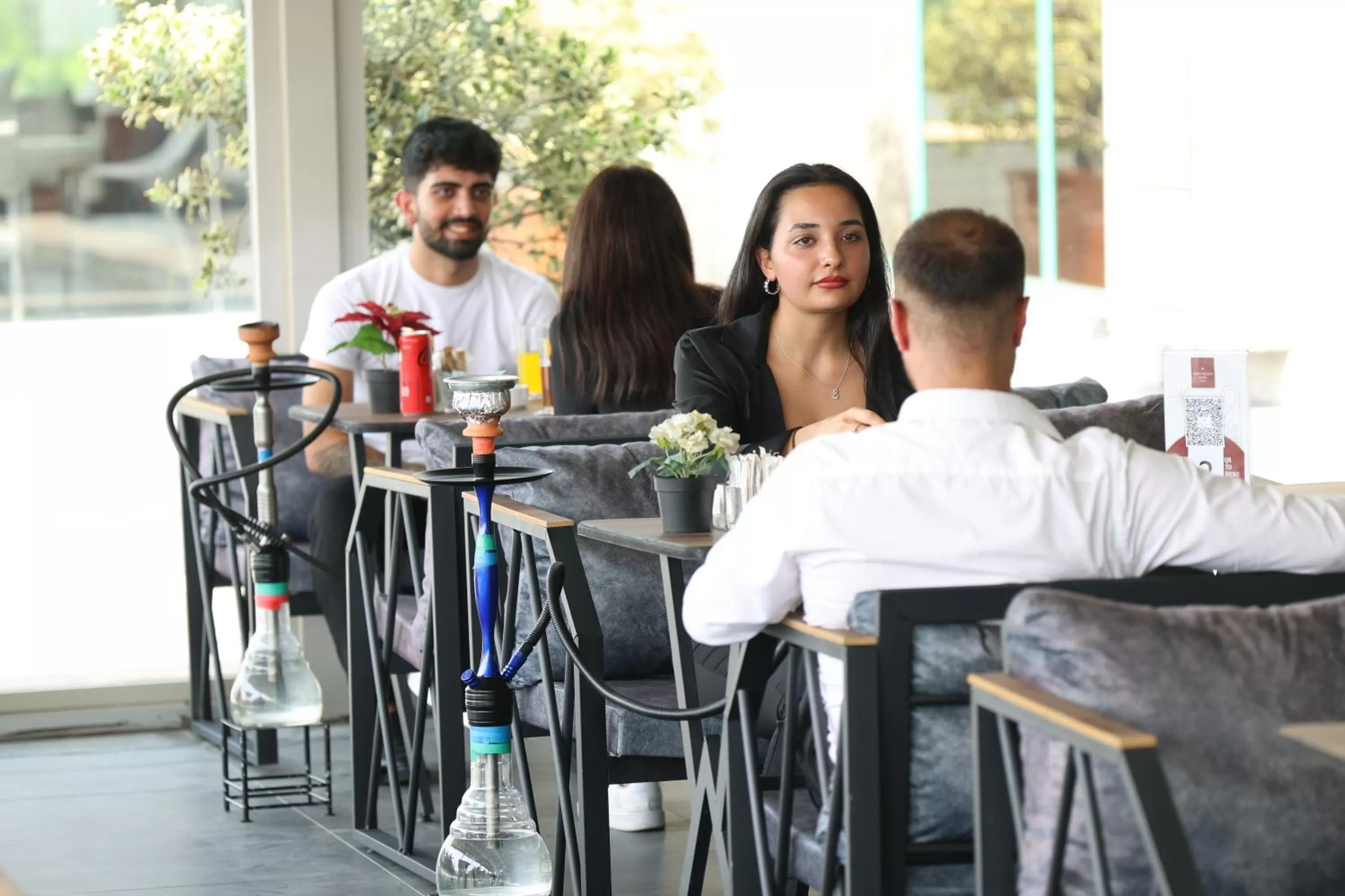 Garden in Nova Plaza Prime Hotel