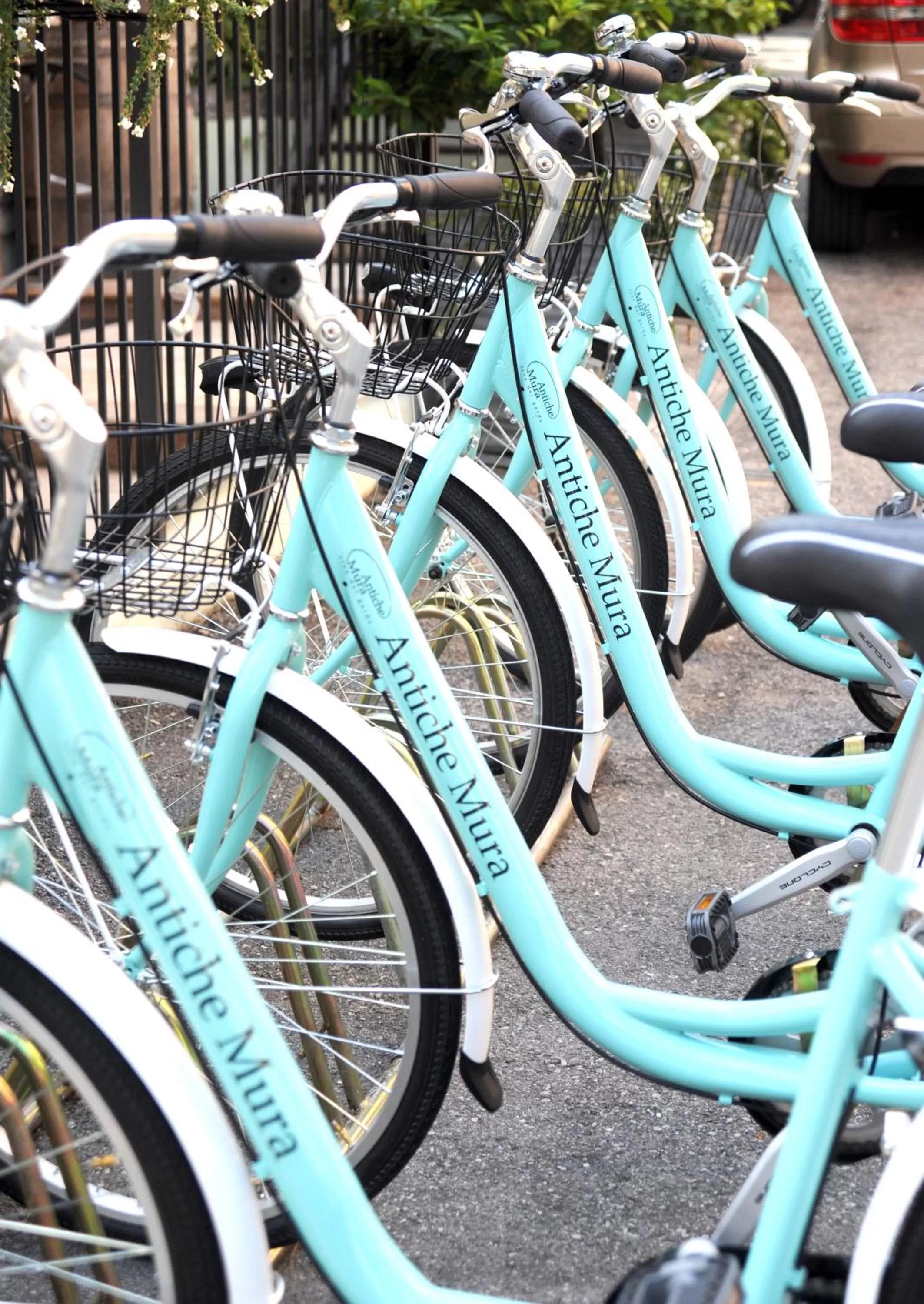 Cycling in Antiche Mura