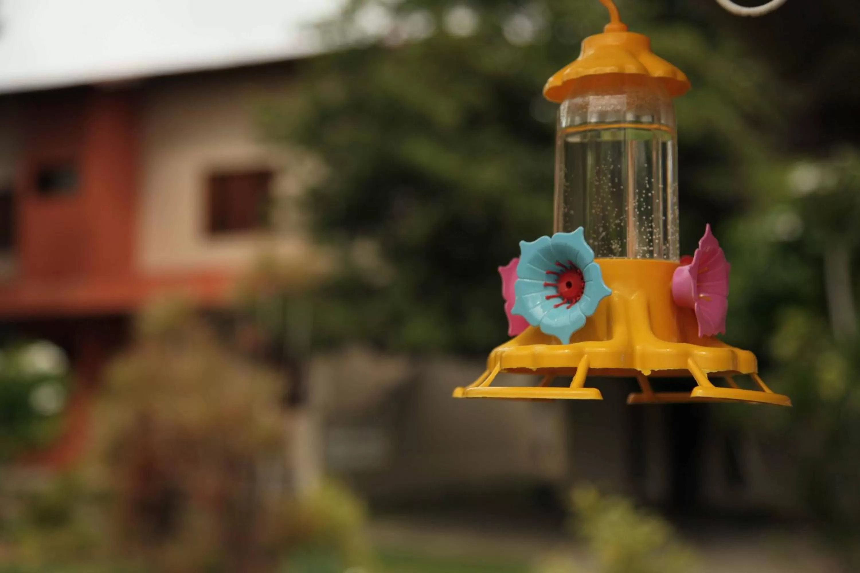 Day, Nearby Landmark in Hotel Jardim