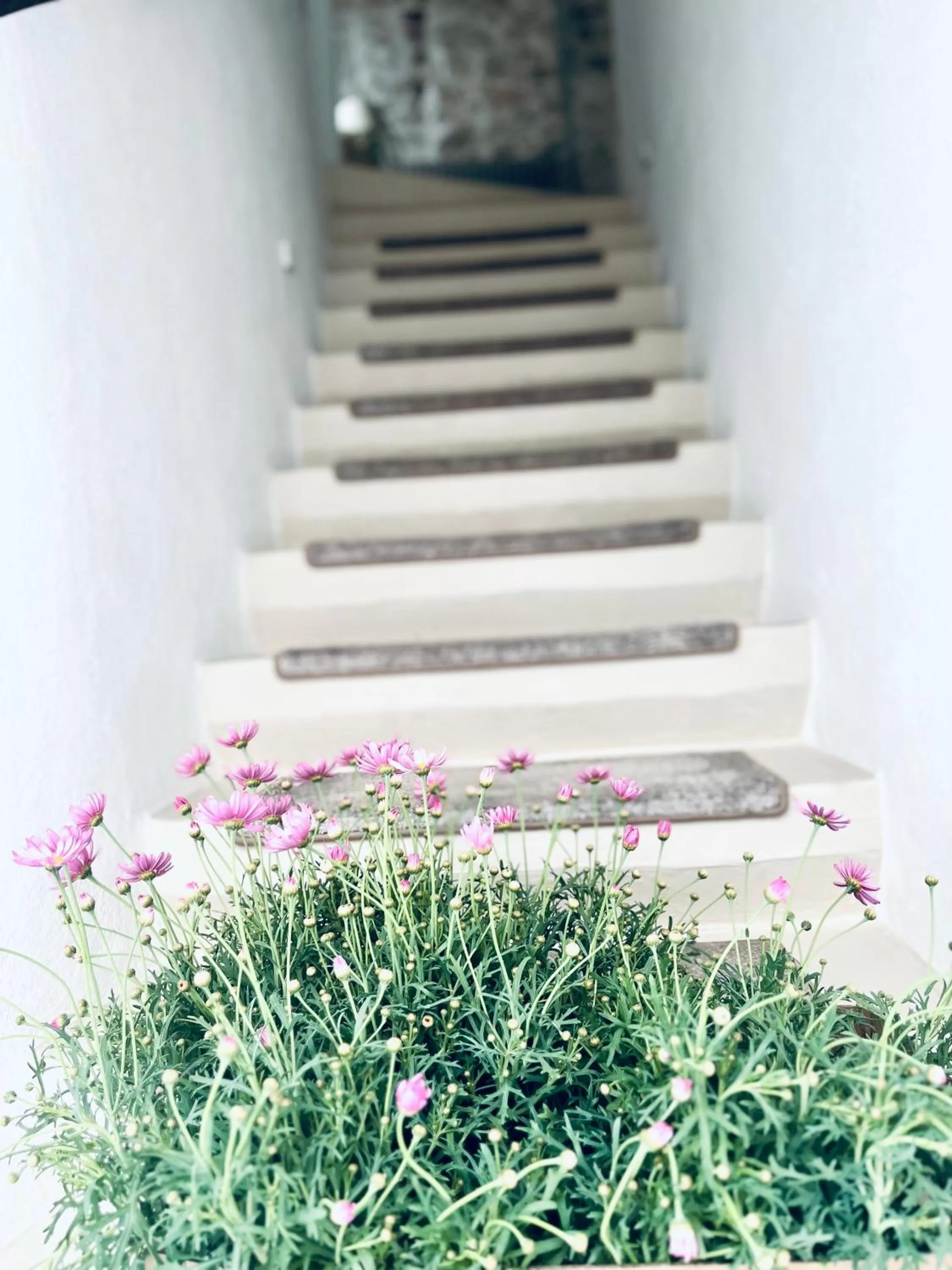 Hydria guest house art gallery