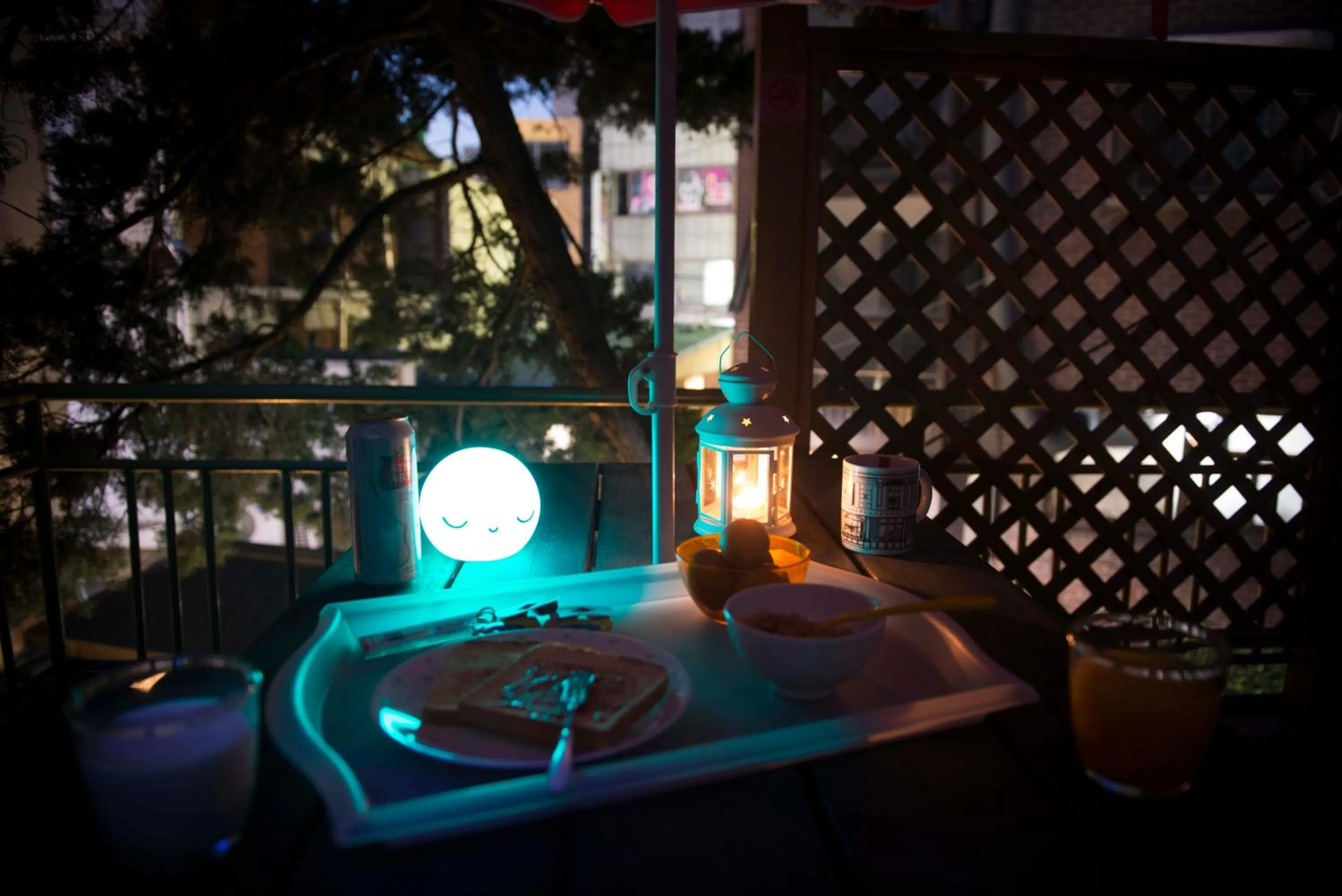 Garden in Jeong House