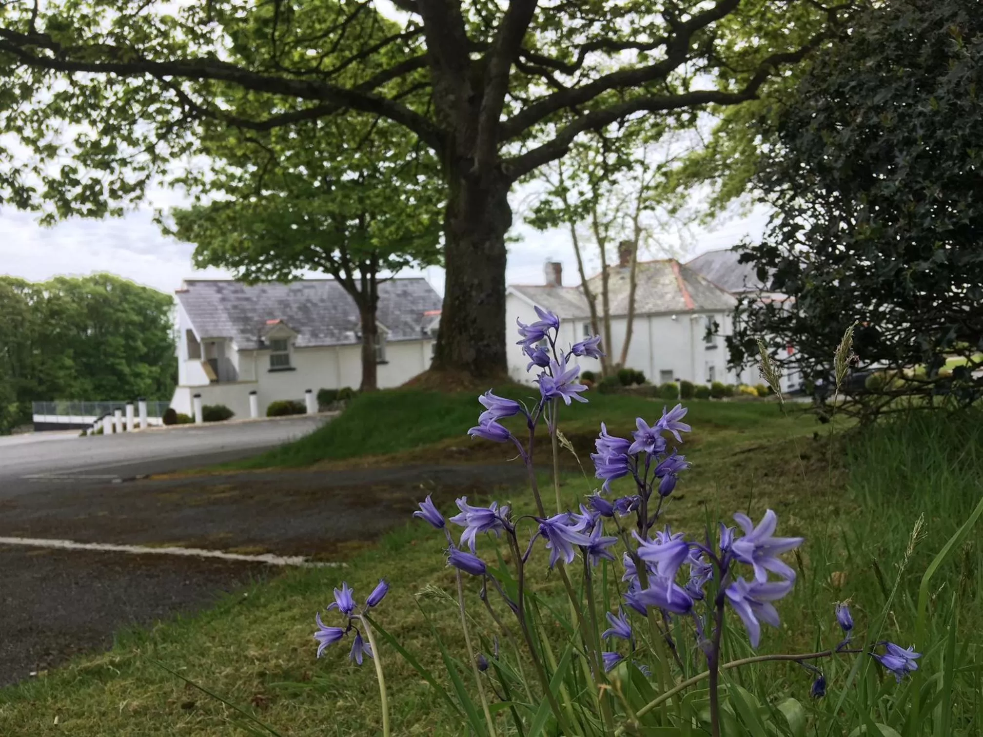 Property building in Beggars Reach Hotel