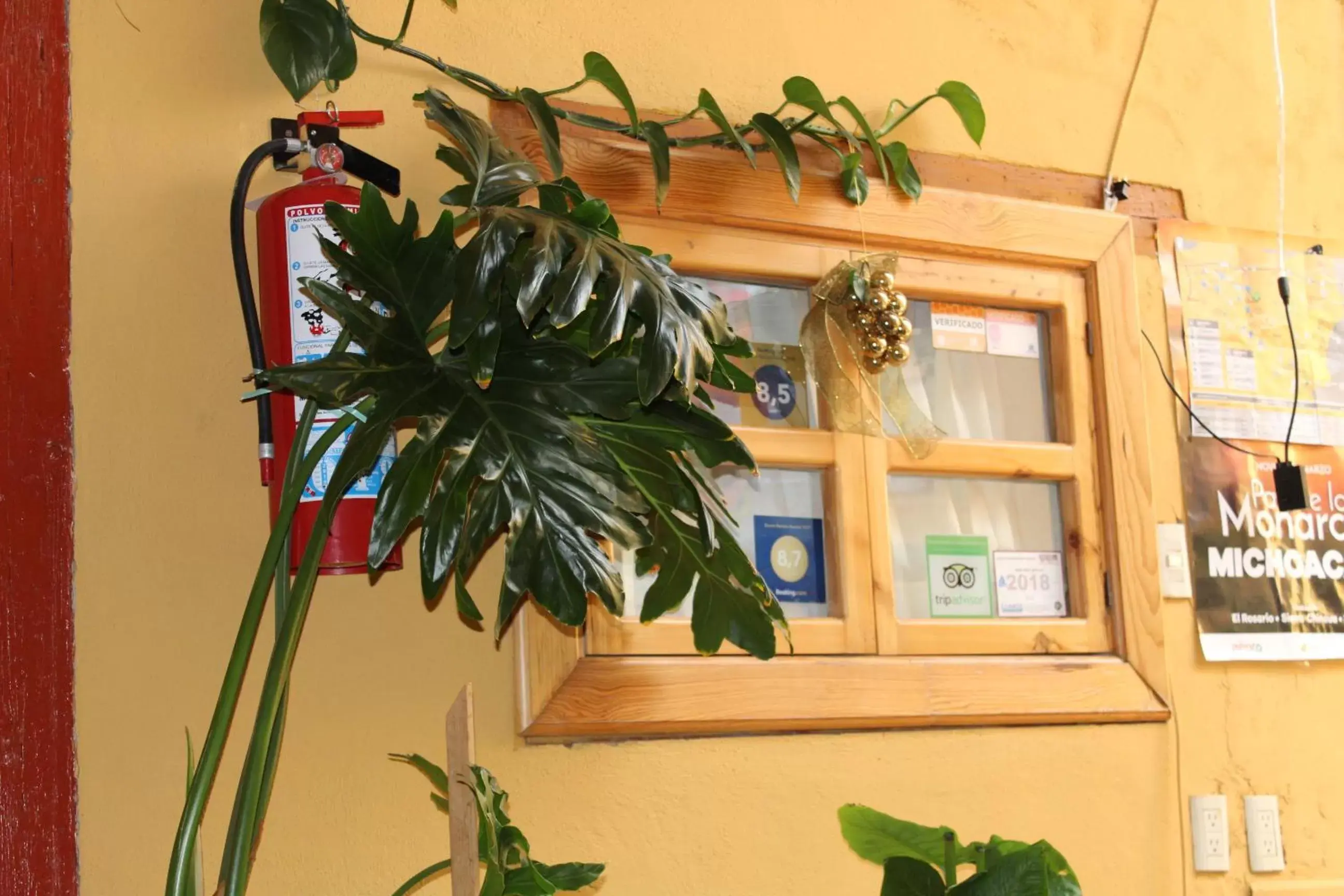 Economy Double Room in Hotel Plaza Mayor Economy Double Room in Hotel Plaza Mayor