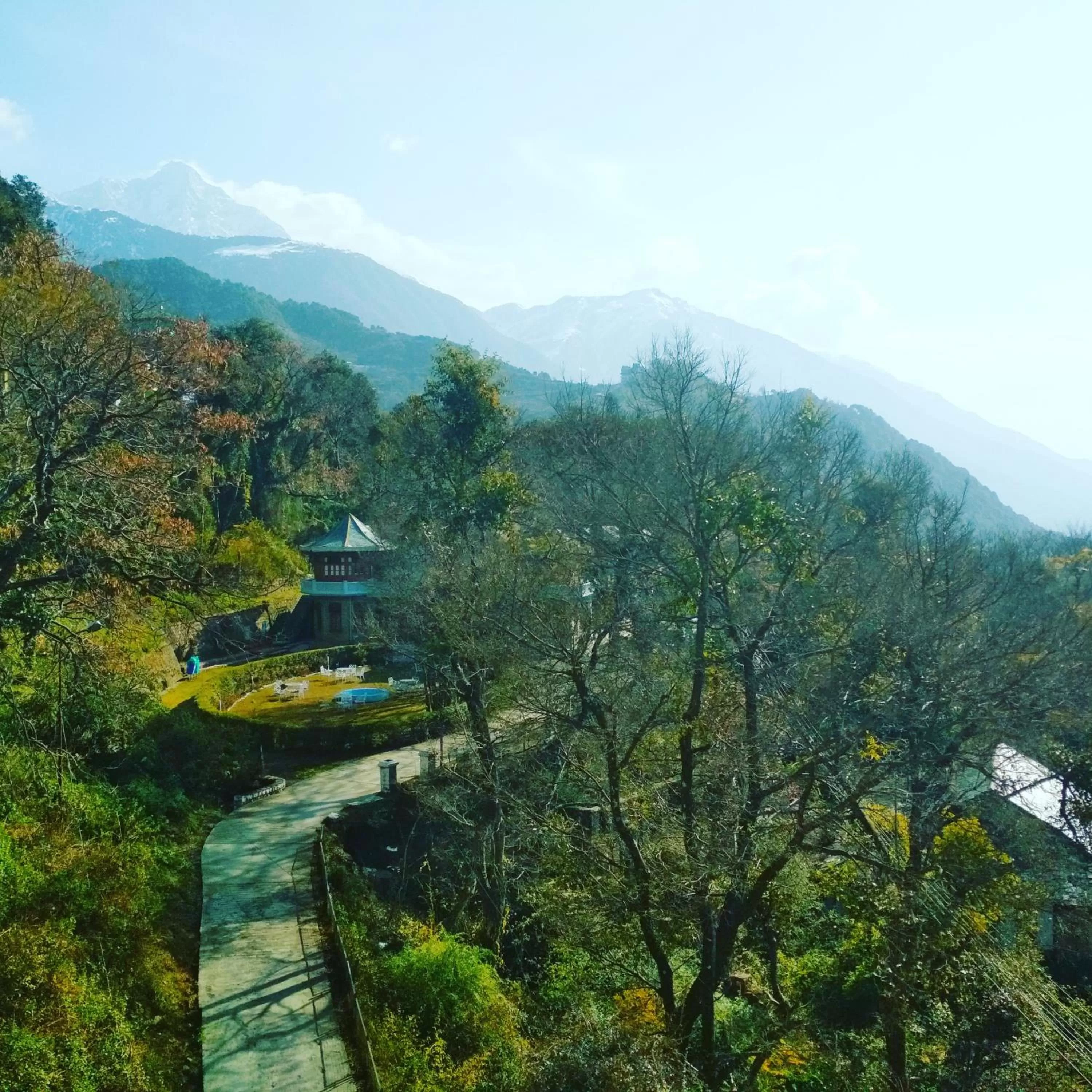 View (from property/room) in Hotel Bliss Valley - Hotel in Dharamshala