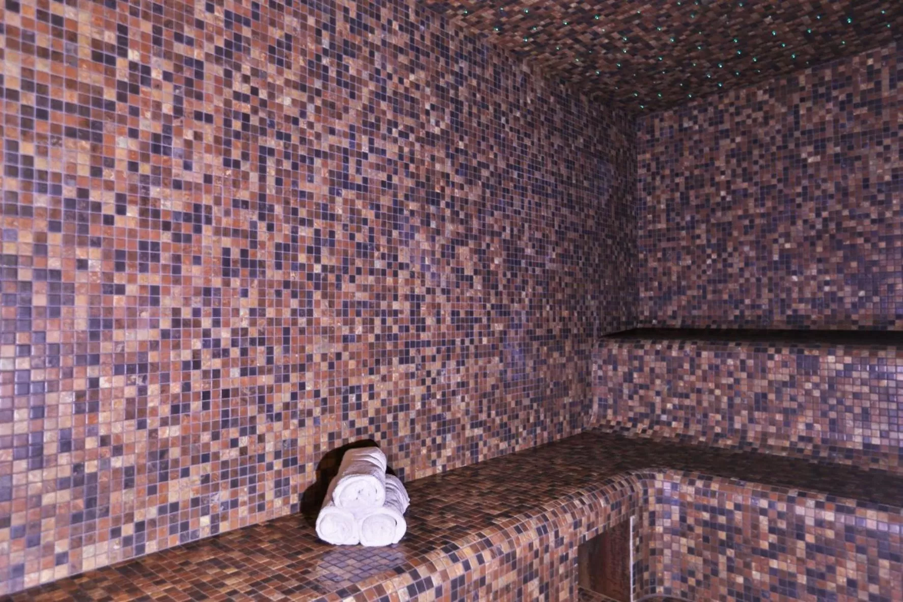 Steam room in Hotel & Spa Les Roches Noires