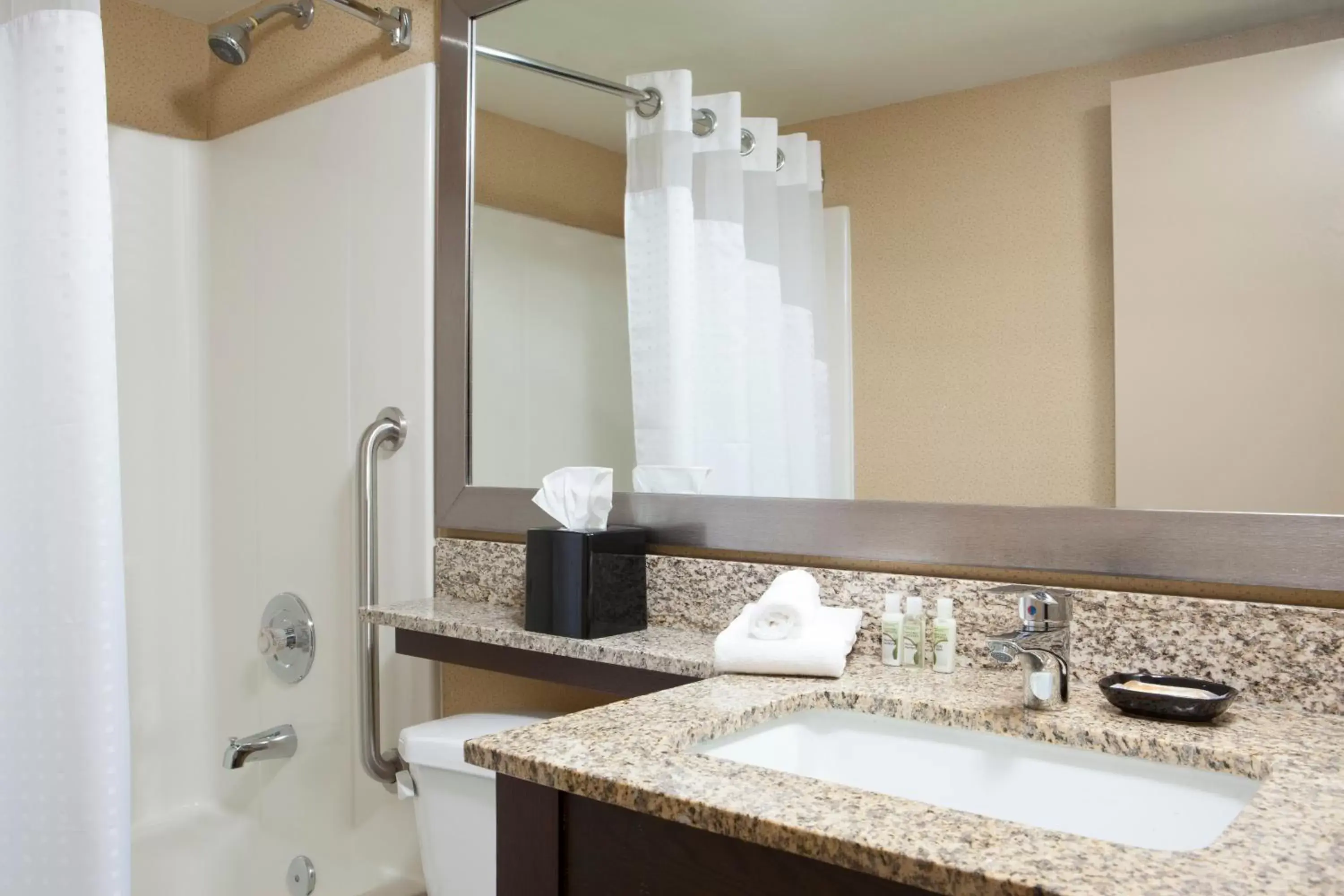 Standard King Room with Mobility Accessible Roll-In Shower in Holiday Inn Hotel & Suites Des Moines-Northwest, an IHG Hotel Standard King Room with Mobility Accessible Roll-In Shower in Holiday Inn Hotel & Suites Des Moines-Northwest, an IHG Hotel