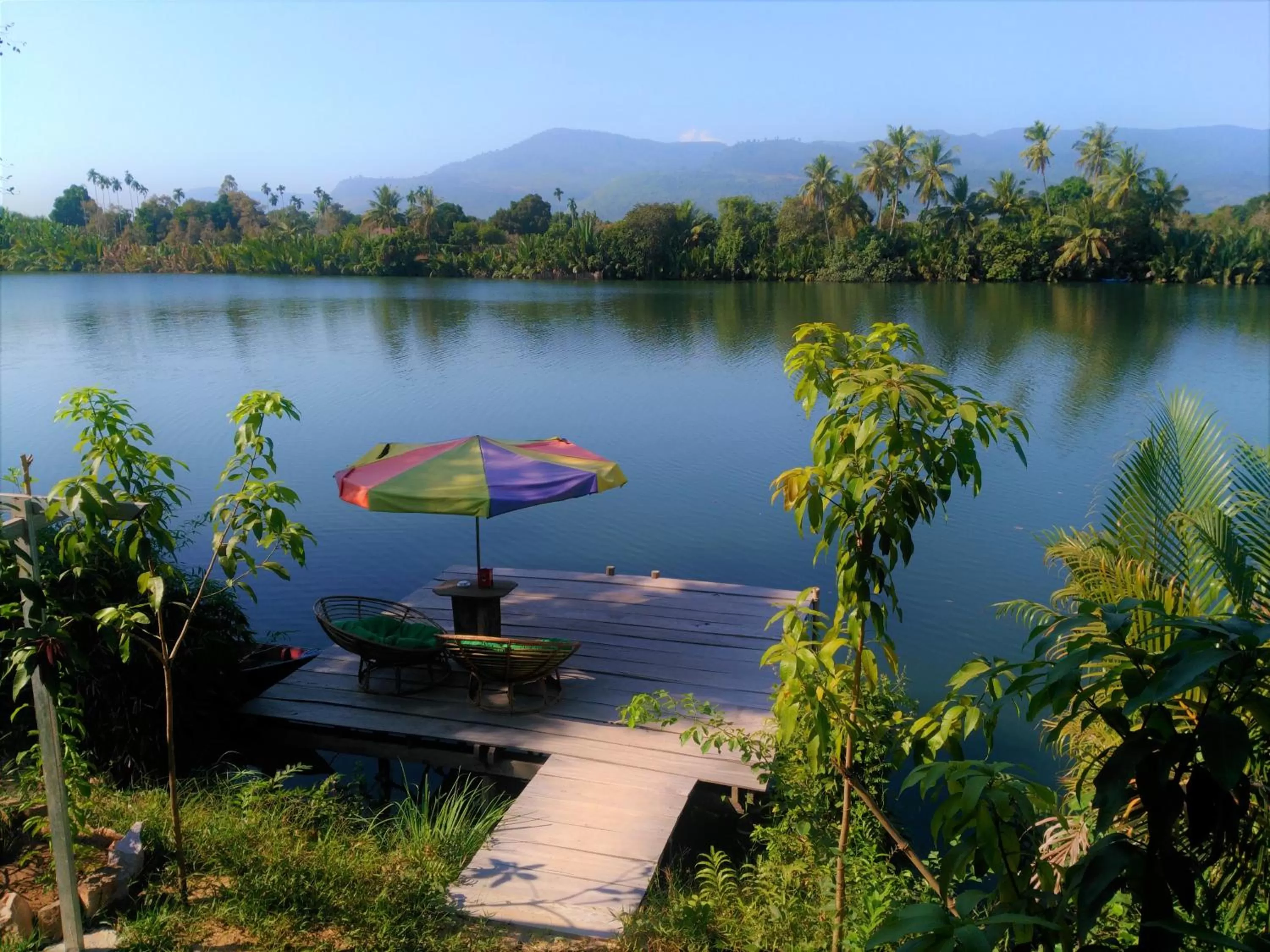 Swimming pool in Green Mango Bungalows