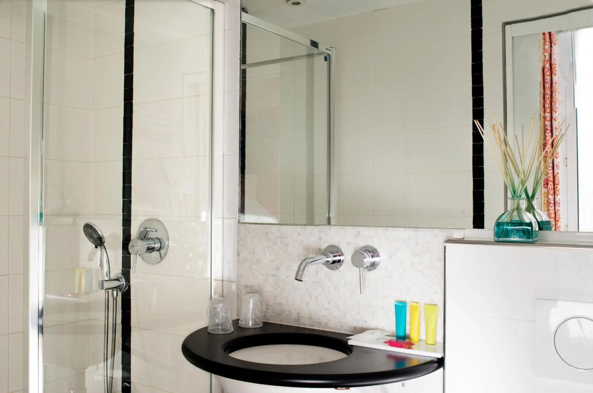 Bathroom in France Louvre