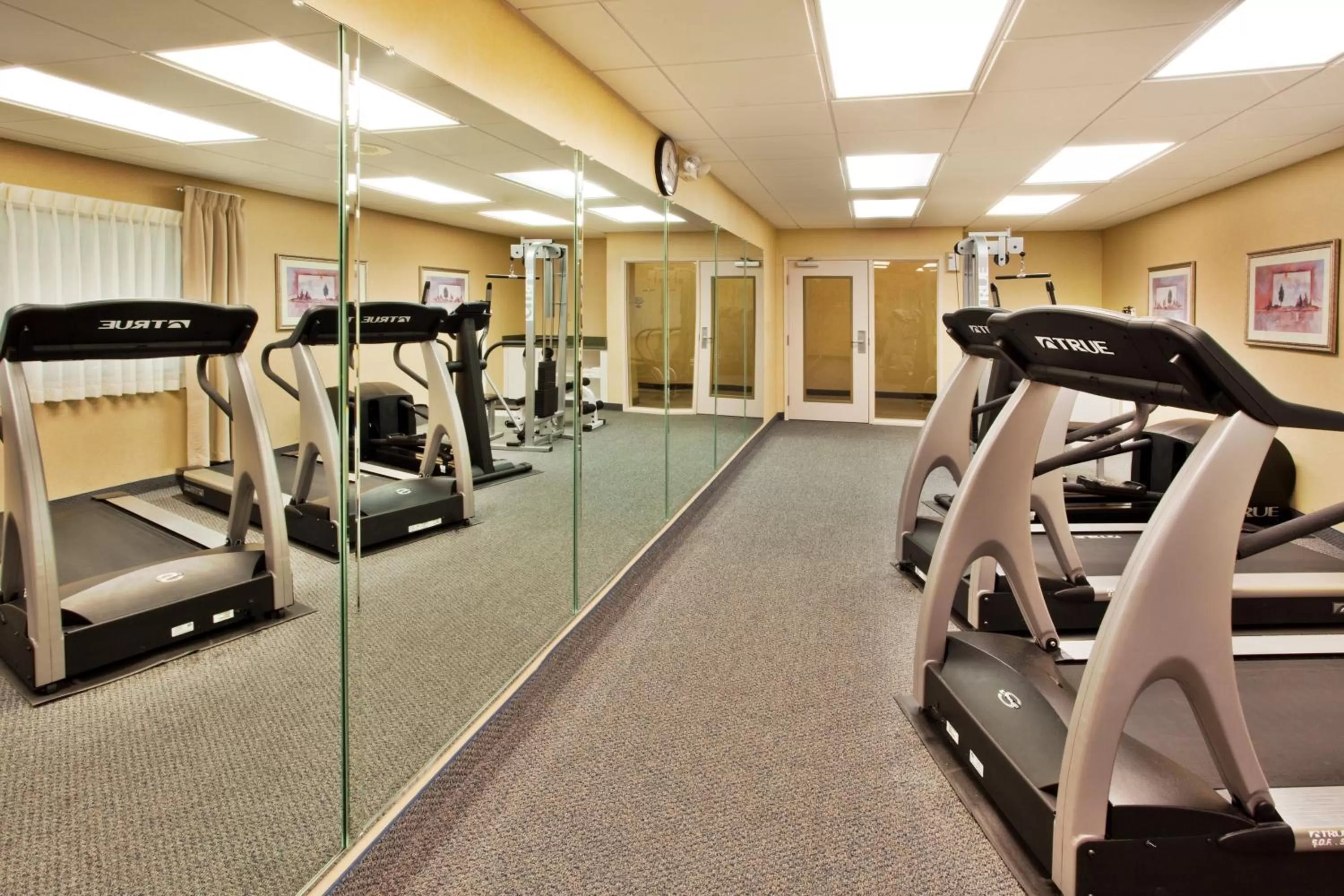 Spa and wellness centre/facilities in Holiday Inn Express Hotel & Suites McDonough by IHG