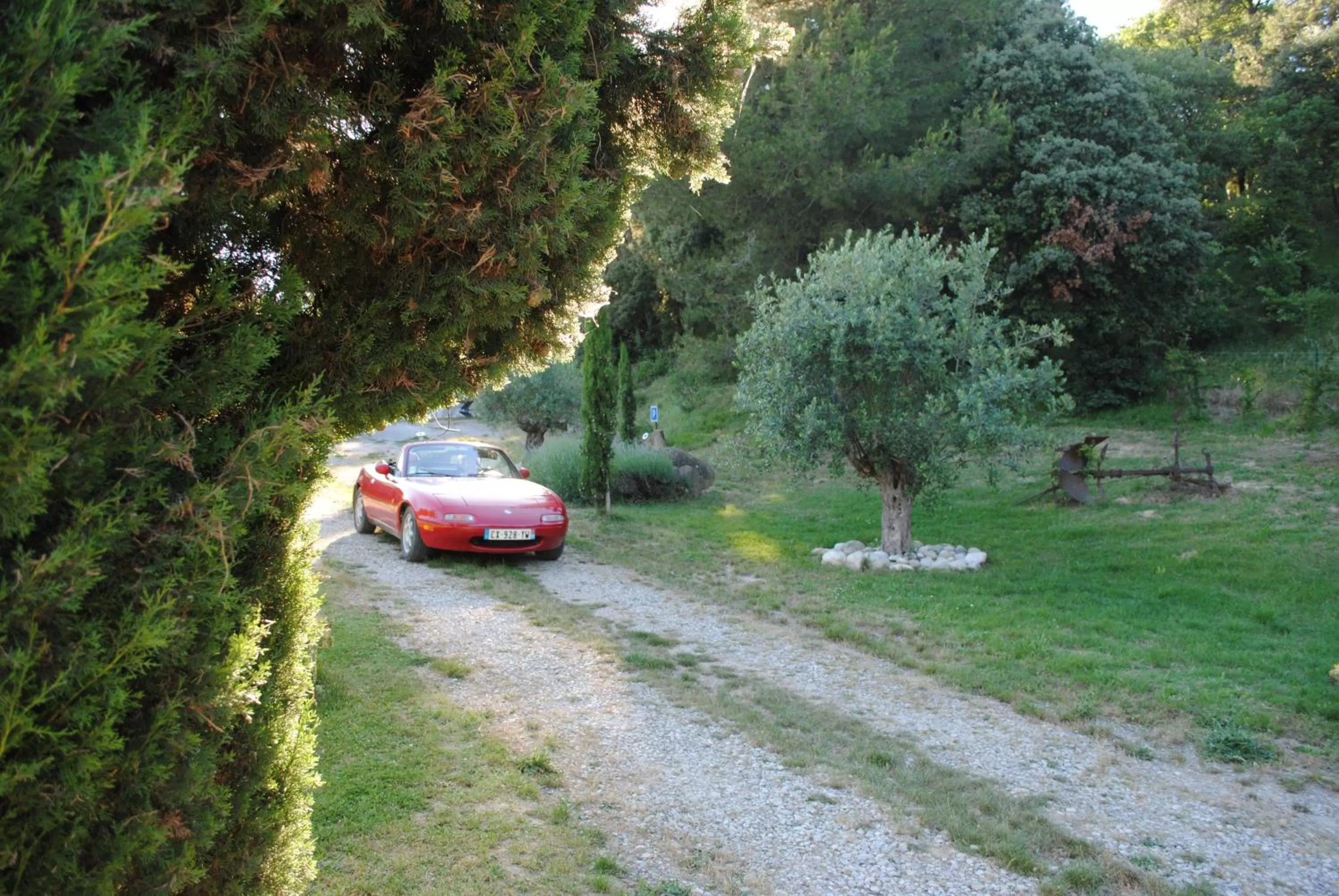 Garden in Chambres d'hôtes & Spa le Relais de la Cavayere