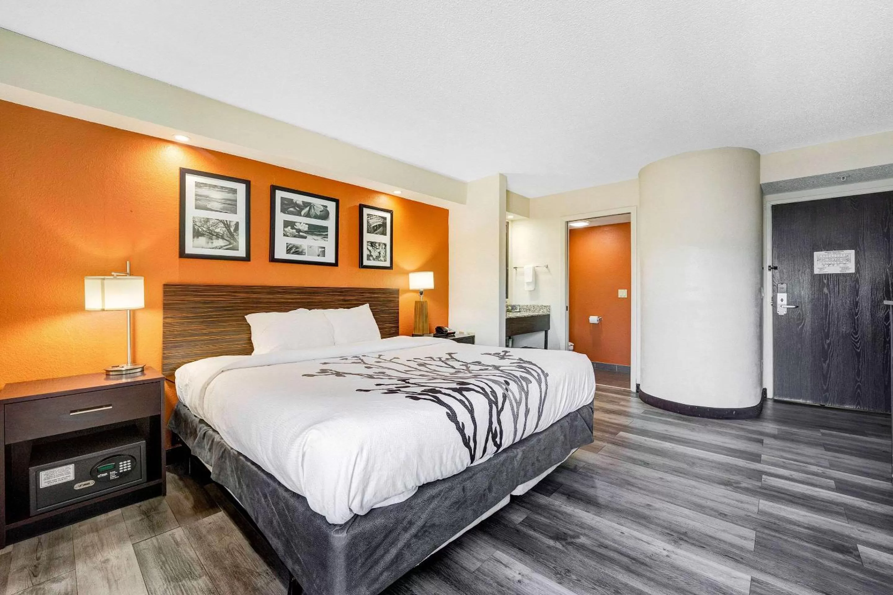 Photo of the whole room, Bed in Sleep Inn Leesburg Chain of Lakes