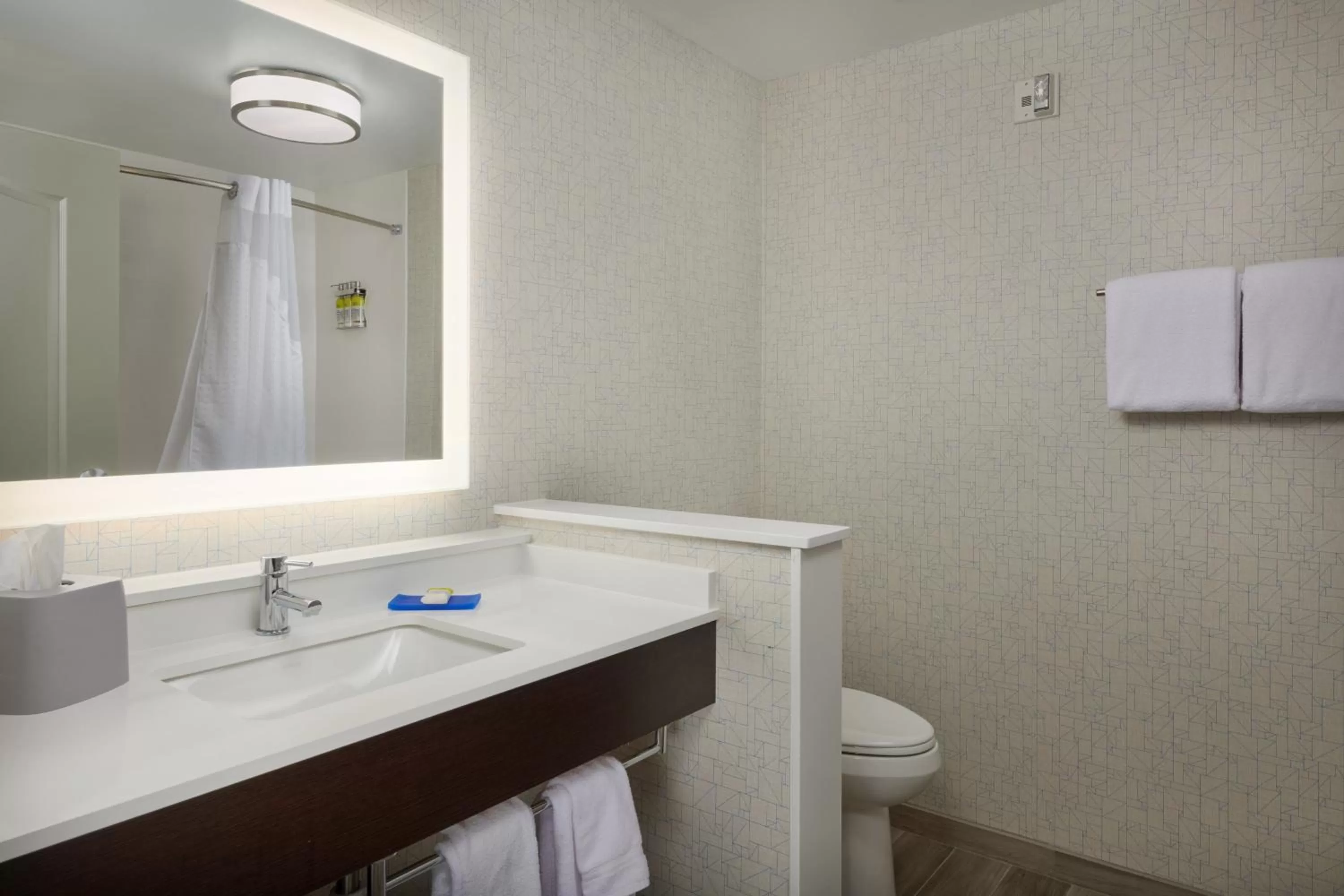 King Room - Mobility Access/Roll in Shower - Non-Smoking in Holiday Inn Express - Lockport, an IHG Hotel