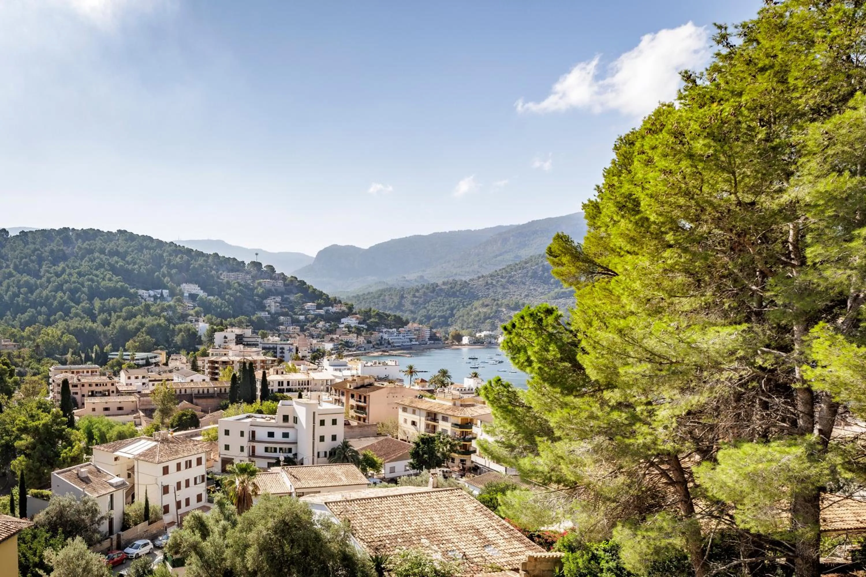 Balcony/Terrace in Hotel Eden Nord Soller